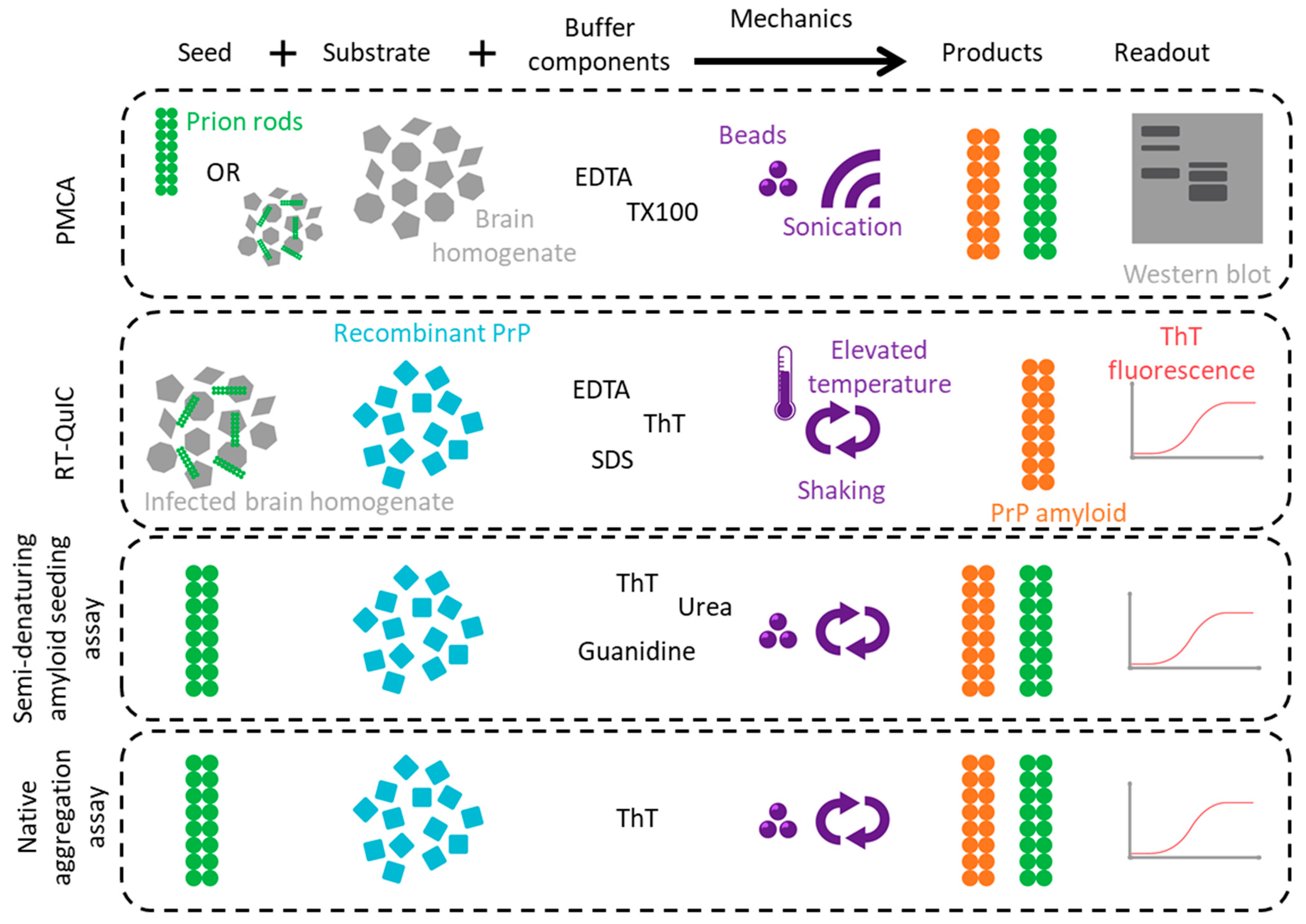 Biomolecules 12 01694 g003 Biomolecules 12 01694 g003