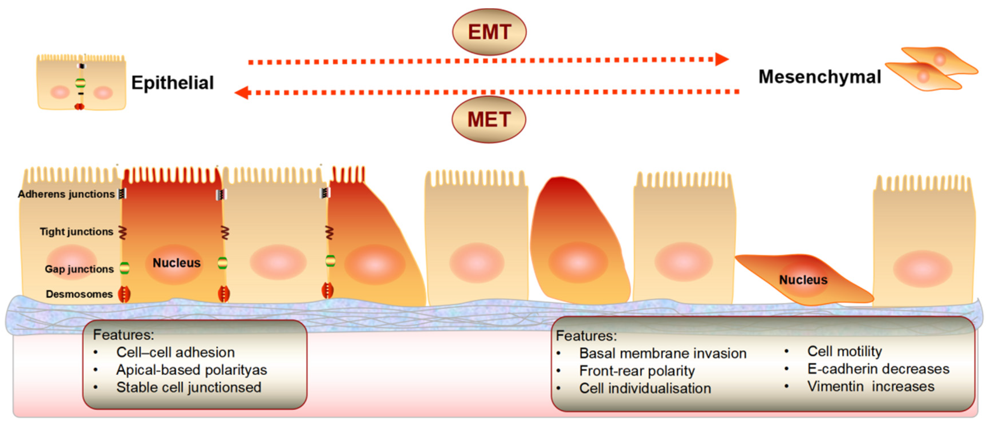 Biomolecules 12 01723 g002