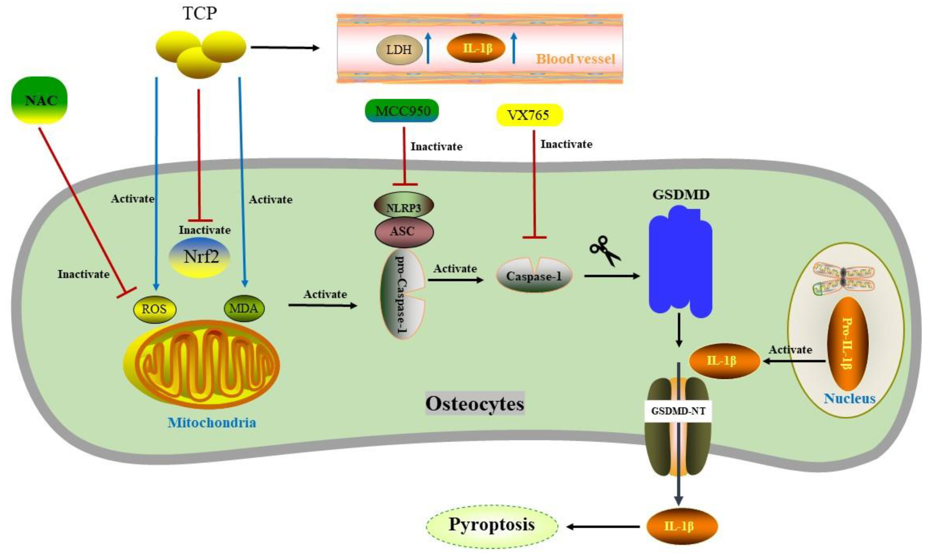 Biomolecules 12 01733 g002