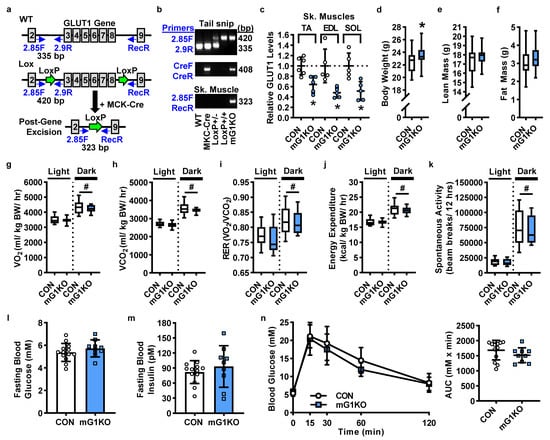 Biomolecules | Free Full-Text | Muscle-Specific Ablation of