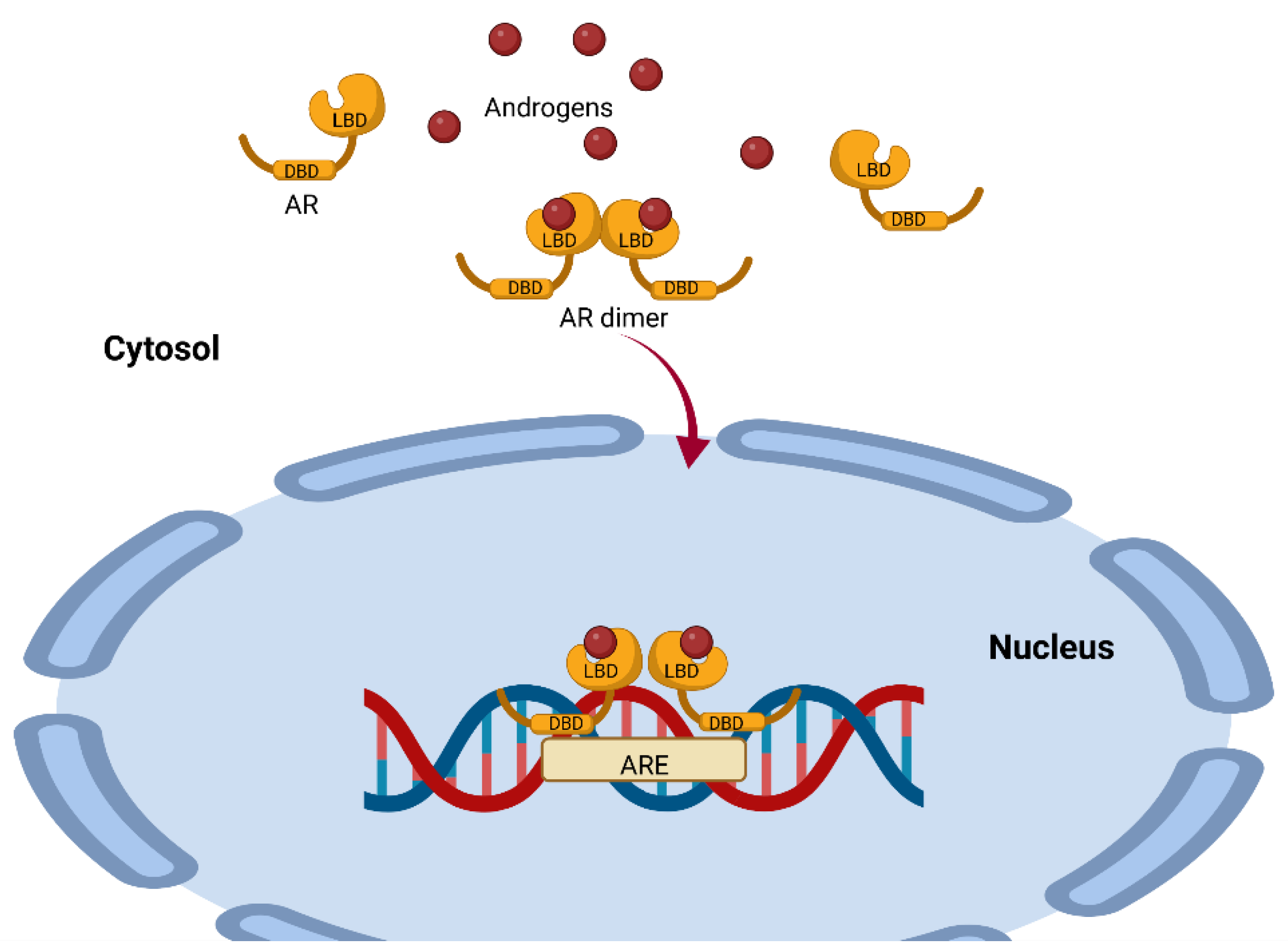 Biomolecules 12 01768 g002