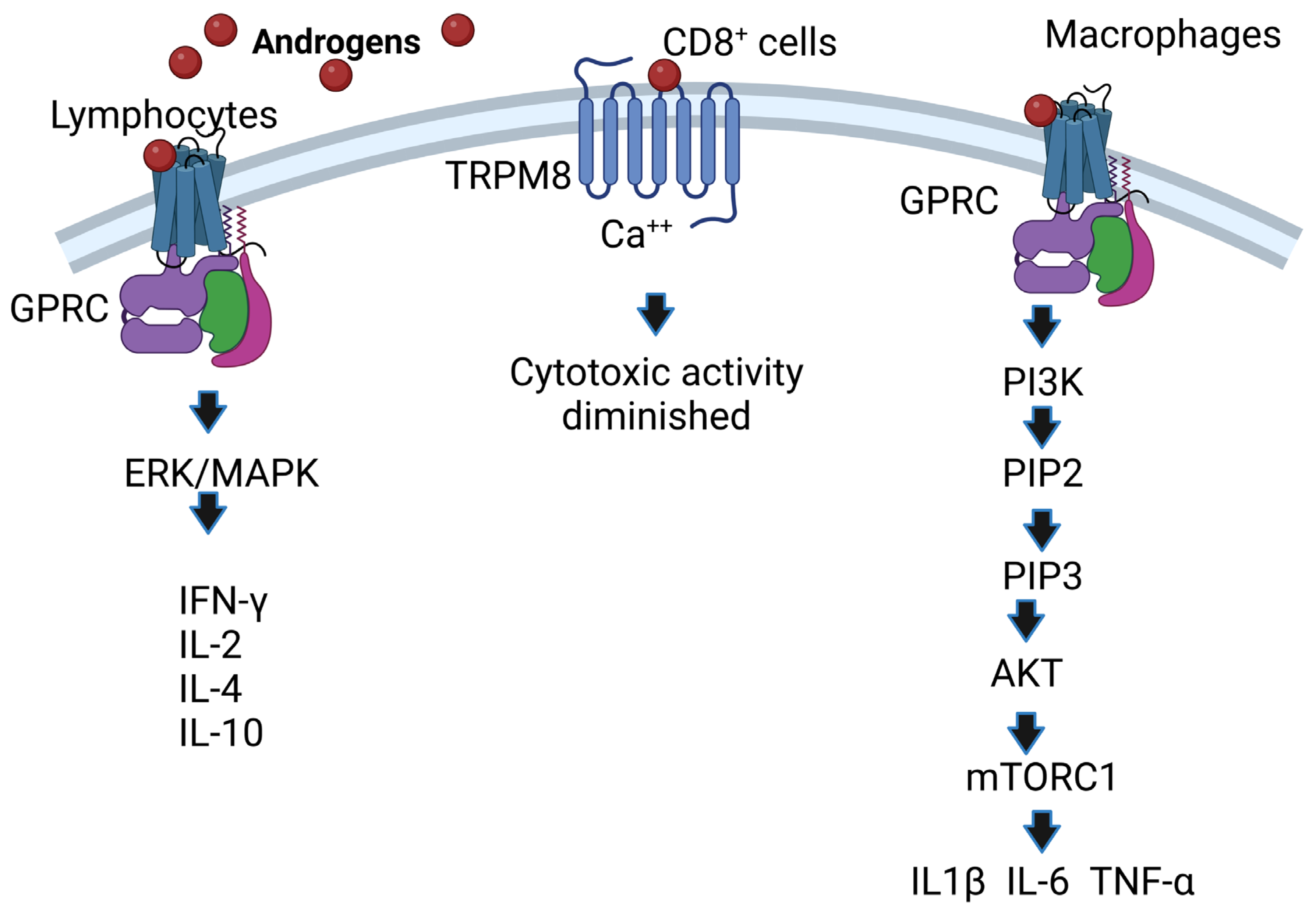 Biomolecules 12 01768 g003