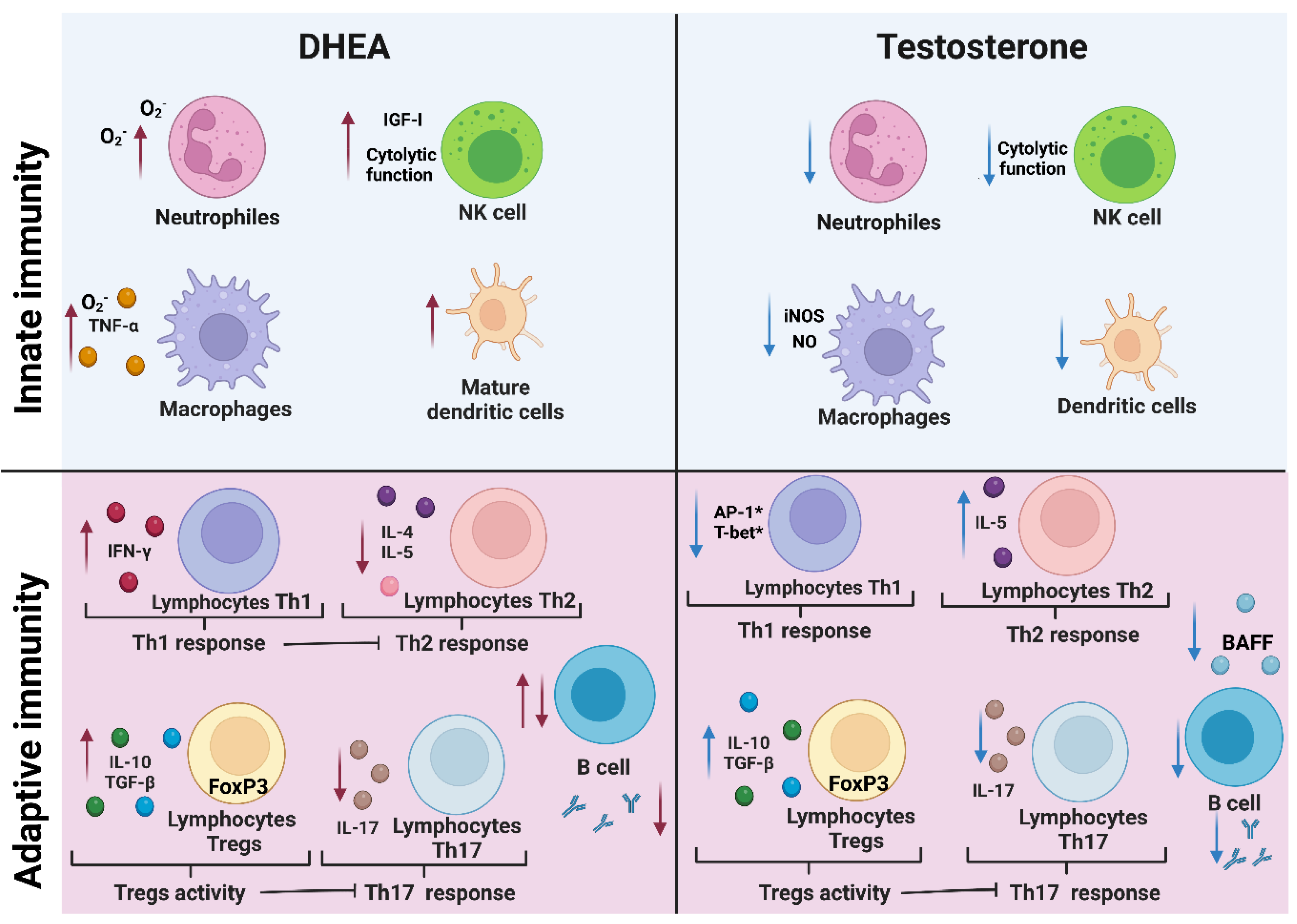 Biomolecules 12 01768 g004