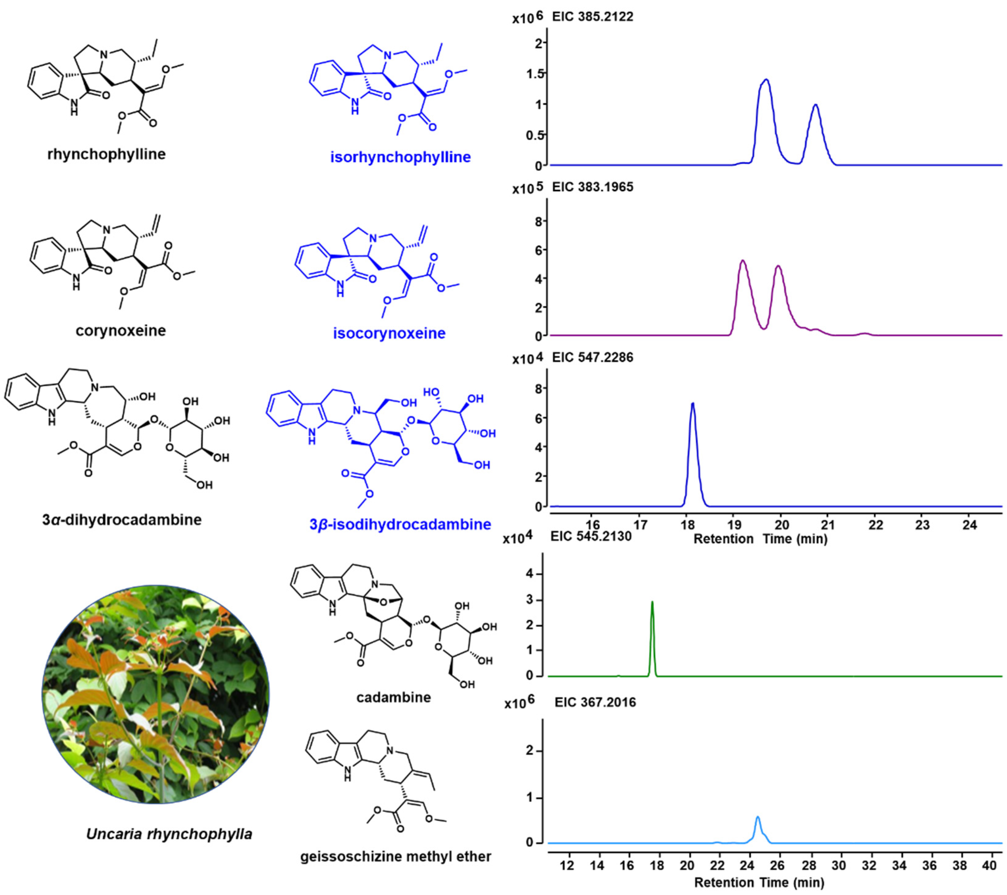 Biomolecules 12 01790 g002