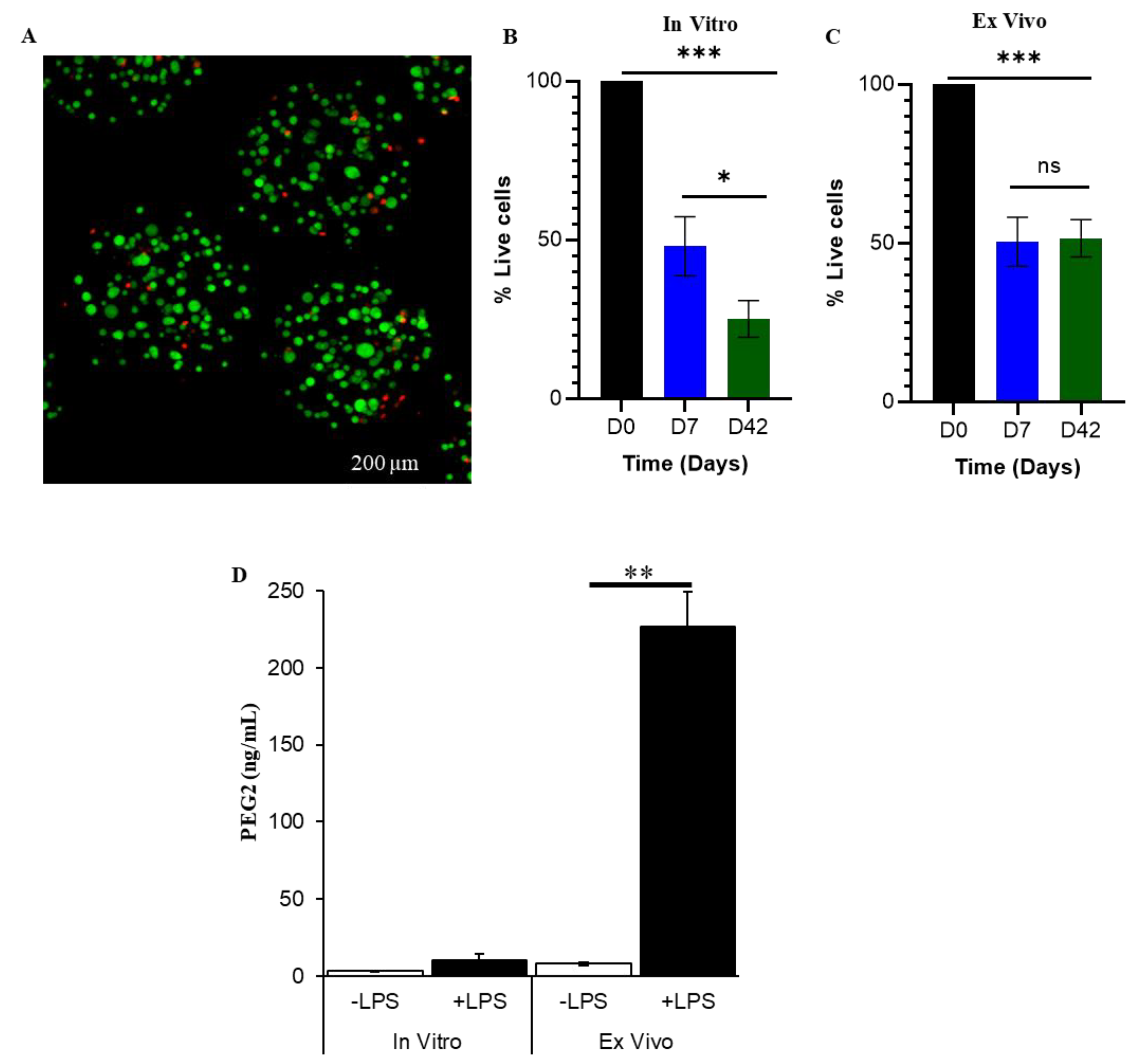 Biomolecules 12 01803 g001 Biomolecules 12 01803 g001