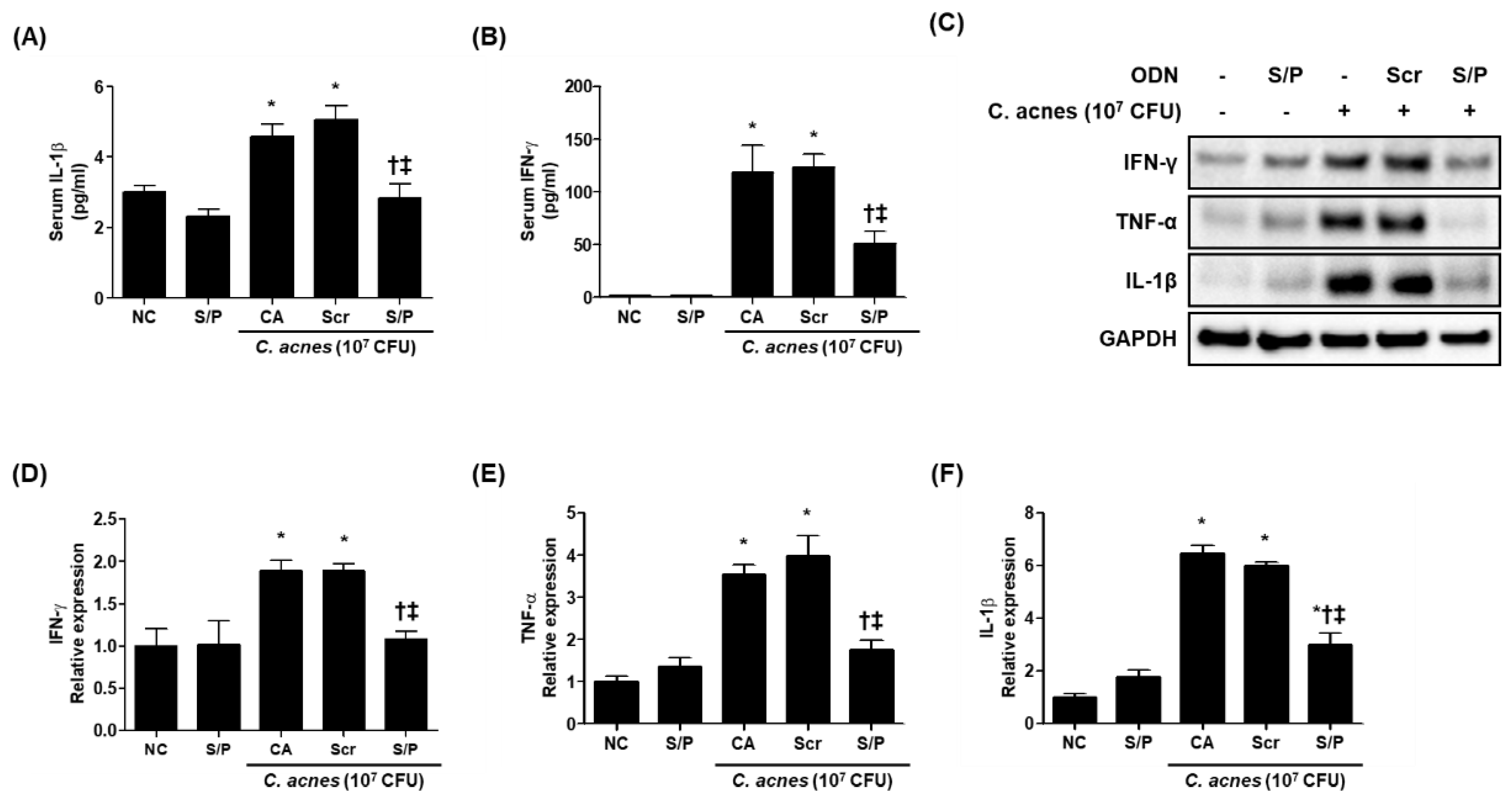 Biomolecules 12 01858 g004 Biomolecules 12 01858 g004