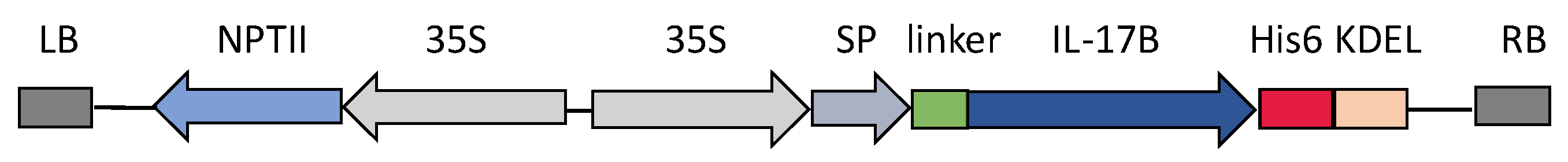 Biomolecules 12 01881 g005