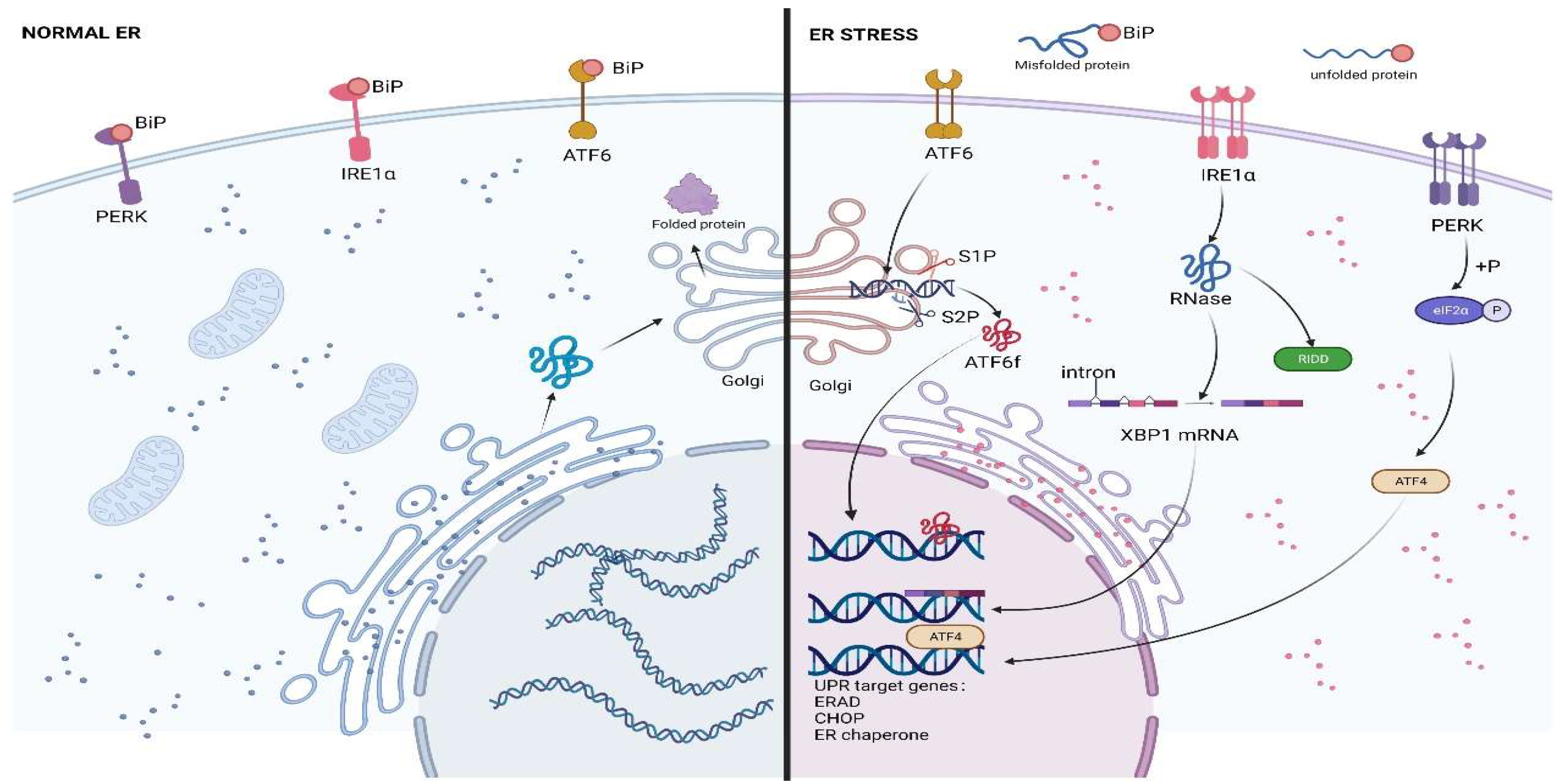 Biomolecules 12 01882 g001