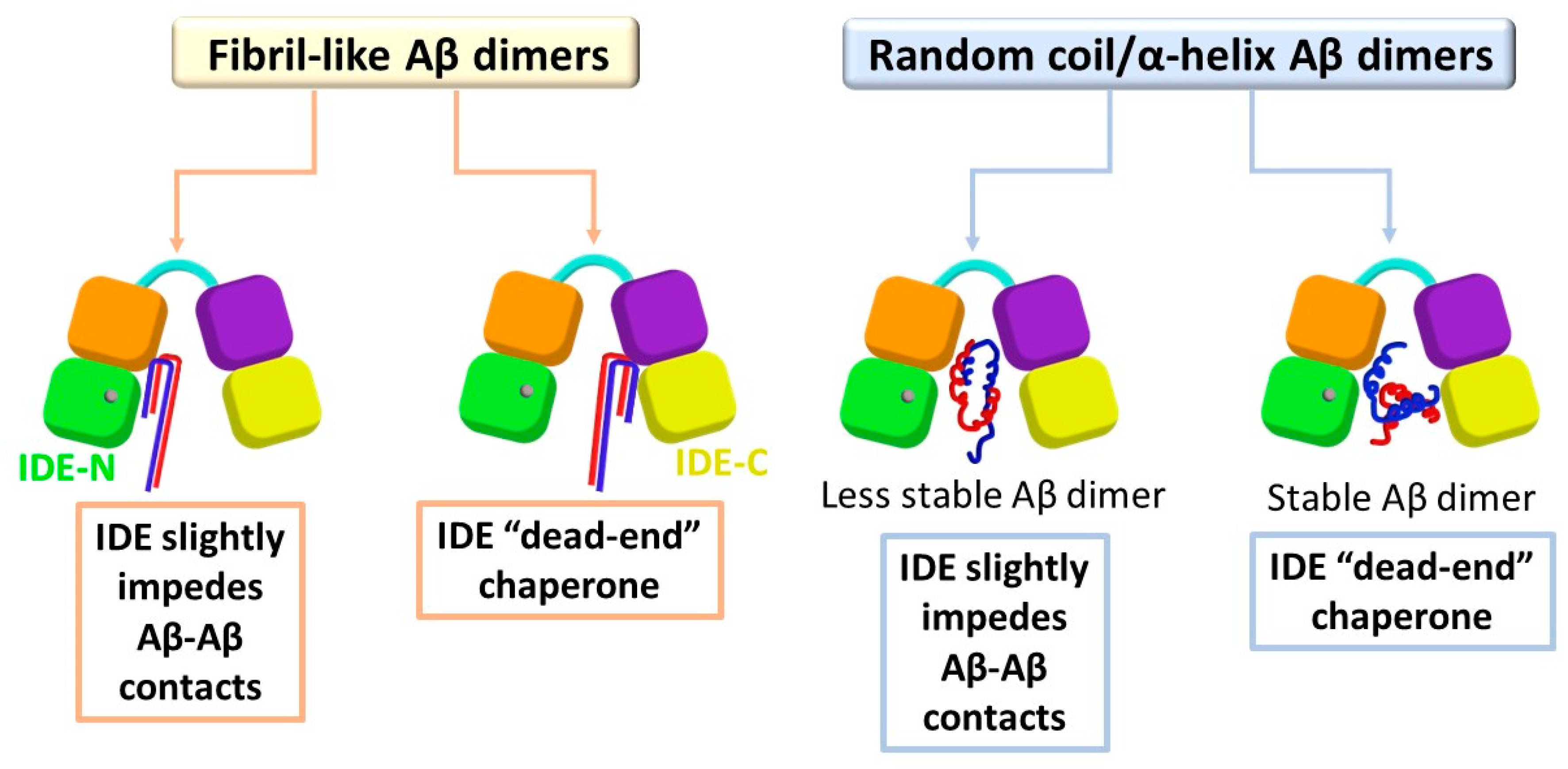 Biomolecules 12 01886 g006 Biomolecules 12 01886 g006