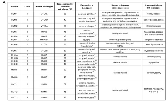 All You Need to Know About MyP2P and Some Alternatives