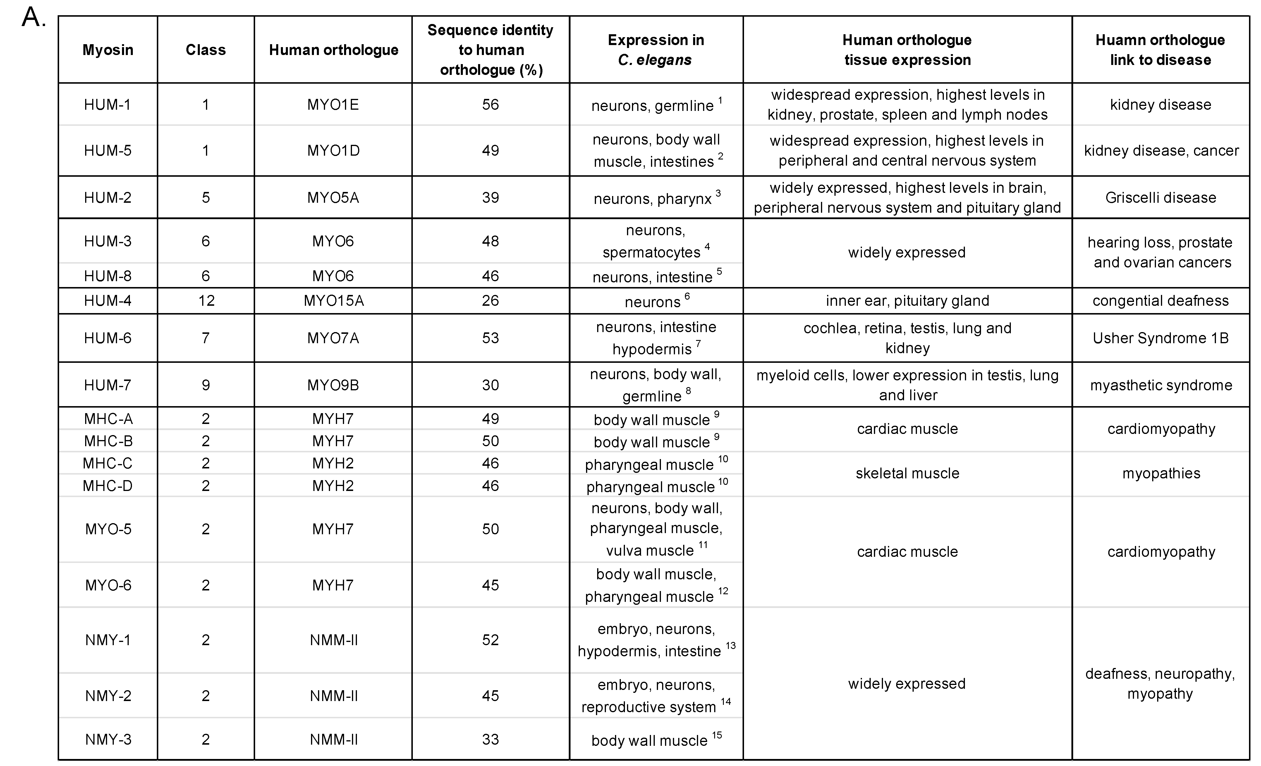 Biomolecules, Free Full-Text