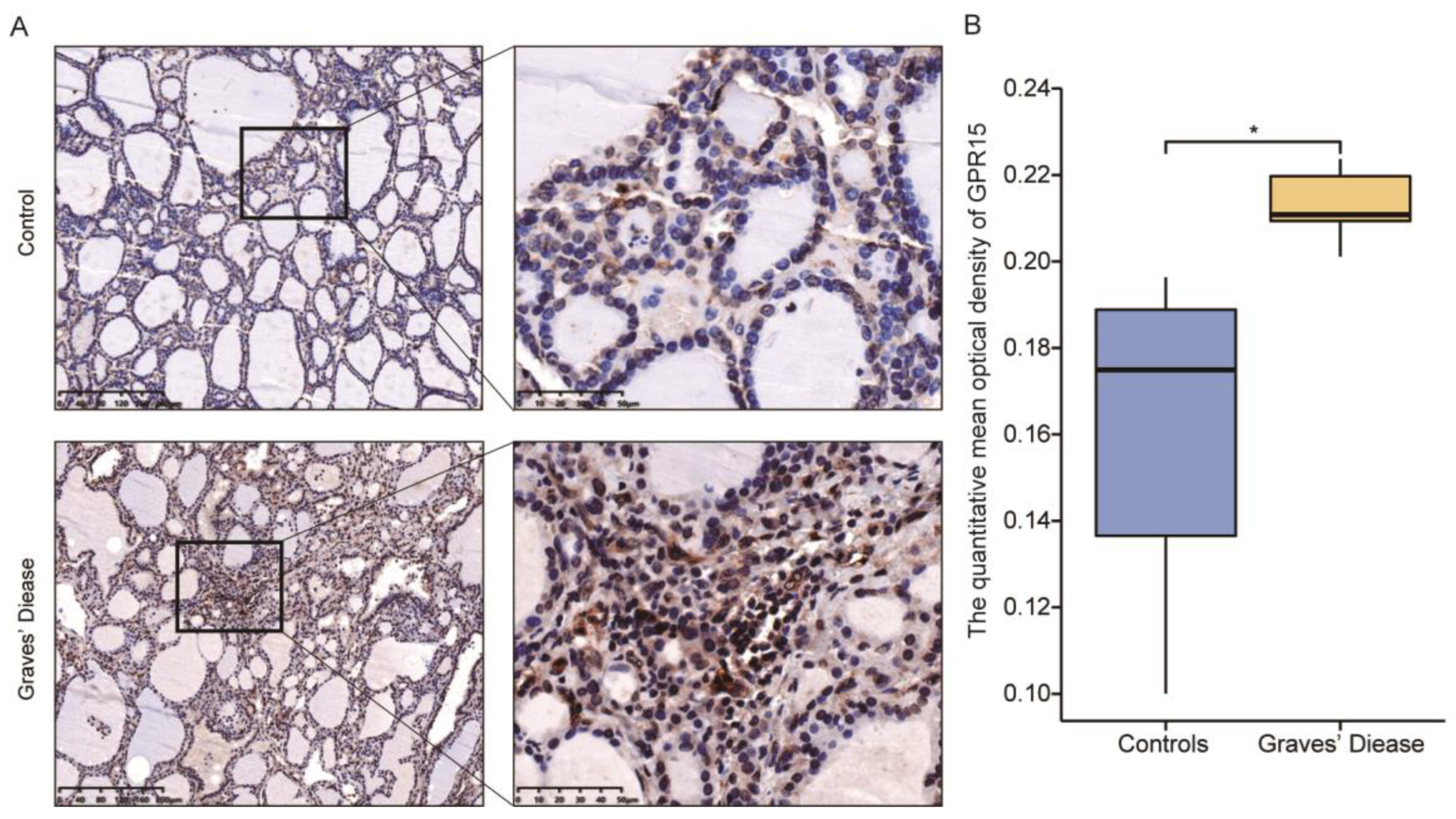 Biomolecules 12 01899 g004