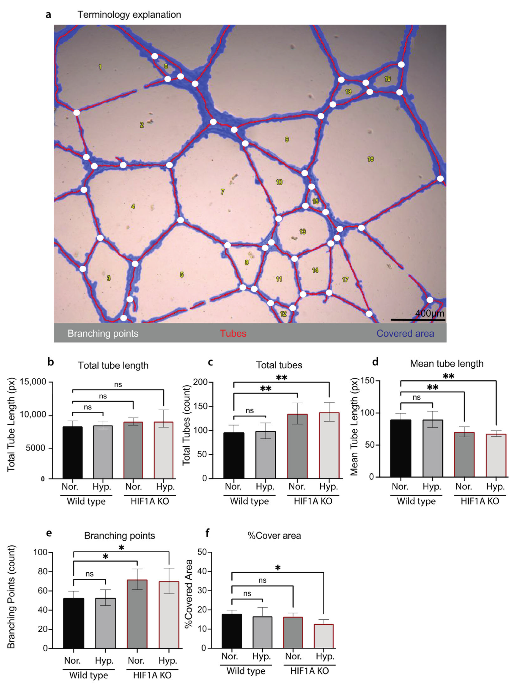 Biomolecules 13 00023 g004