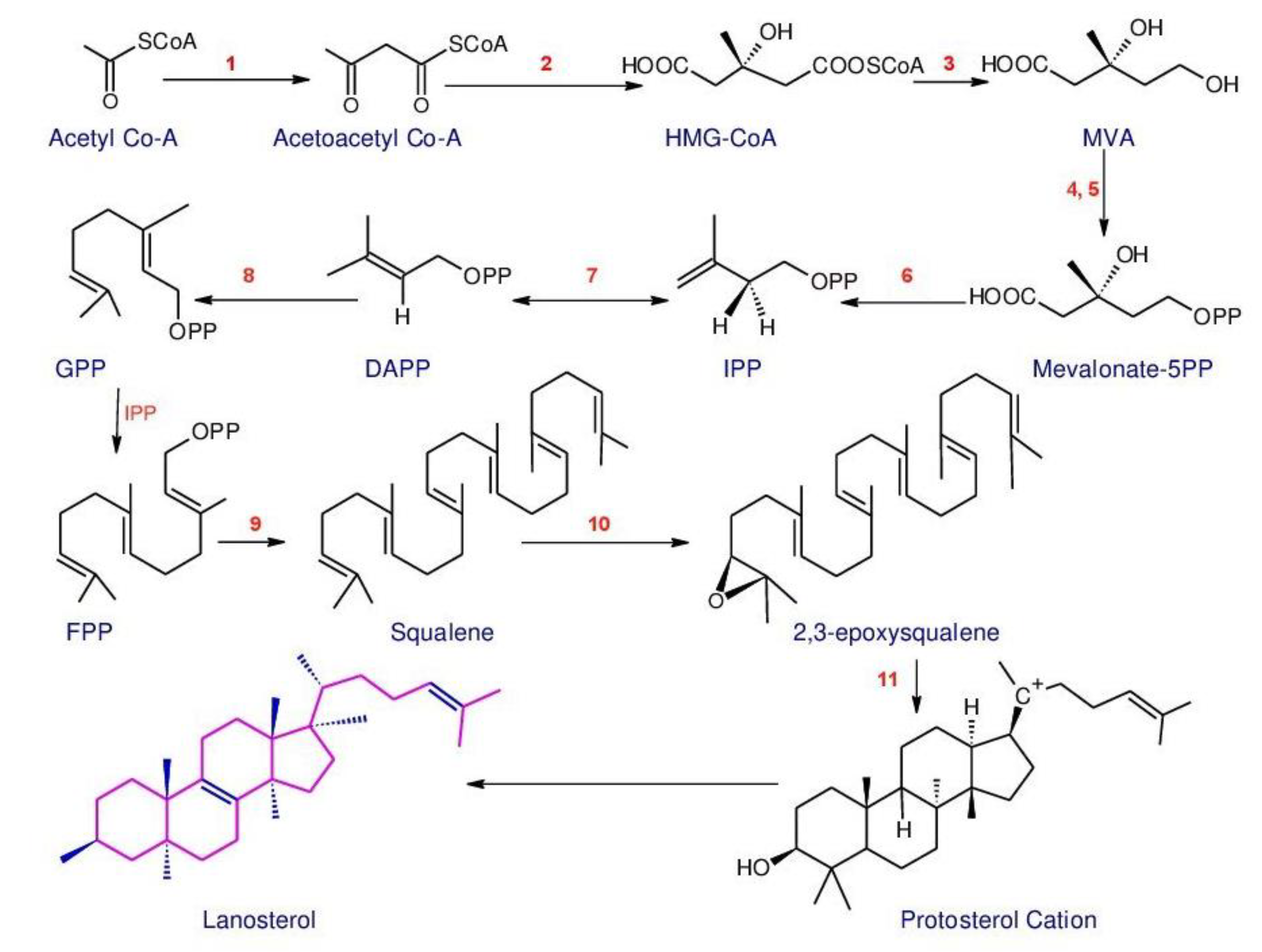 Biomolecules 13 00024 g001 Biomolecules 13 00024 g001
