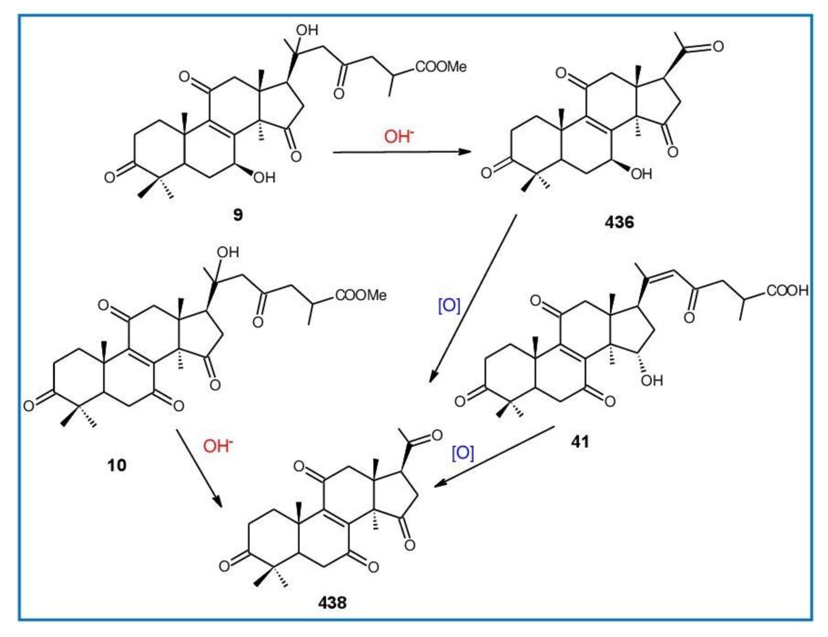 Biomolecules 13 00024 g016 Biomolecules 13 00024 g016