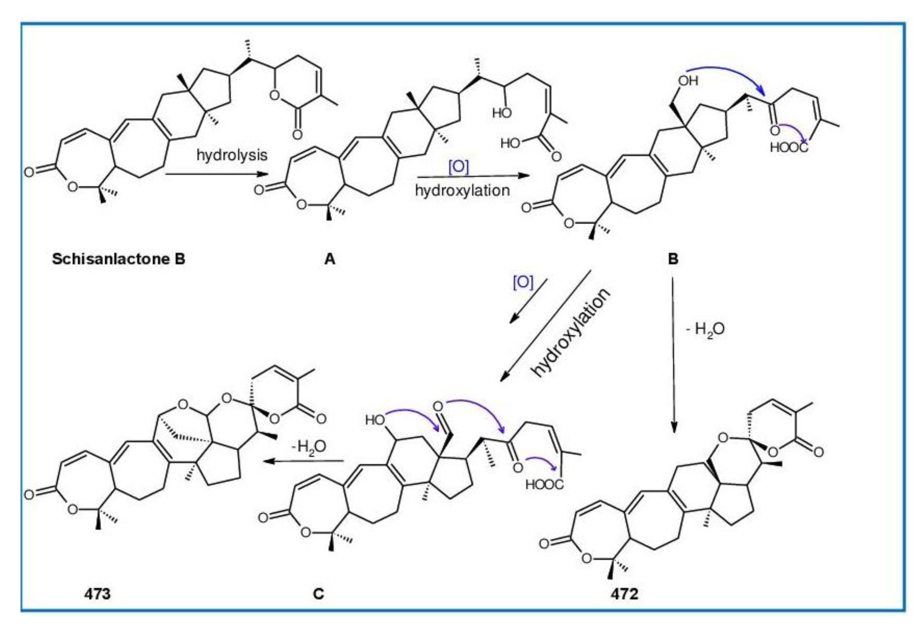 Biomolecules 13 00024 g024 Biomolecules 13 00024 g024