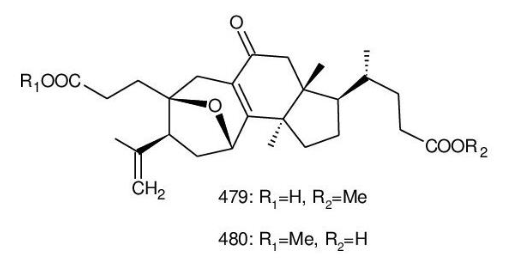 Biomolecules 13 00024 g027 Biomolecules 13 00024 g027