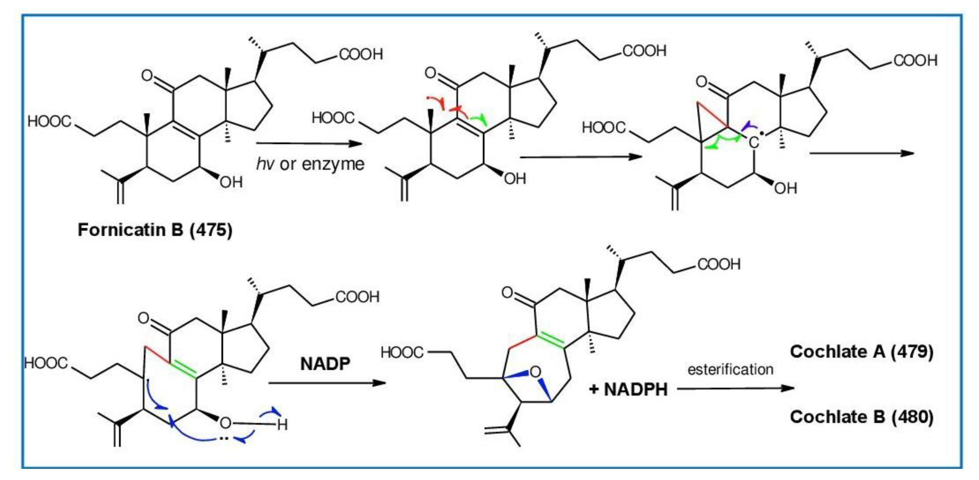 Biomolecules 13 00024 g028 Biomolecules 13 00024 g028
