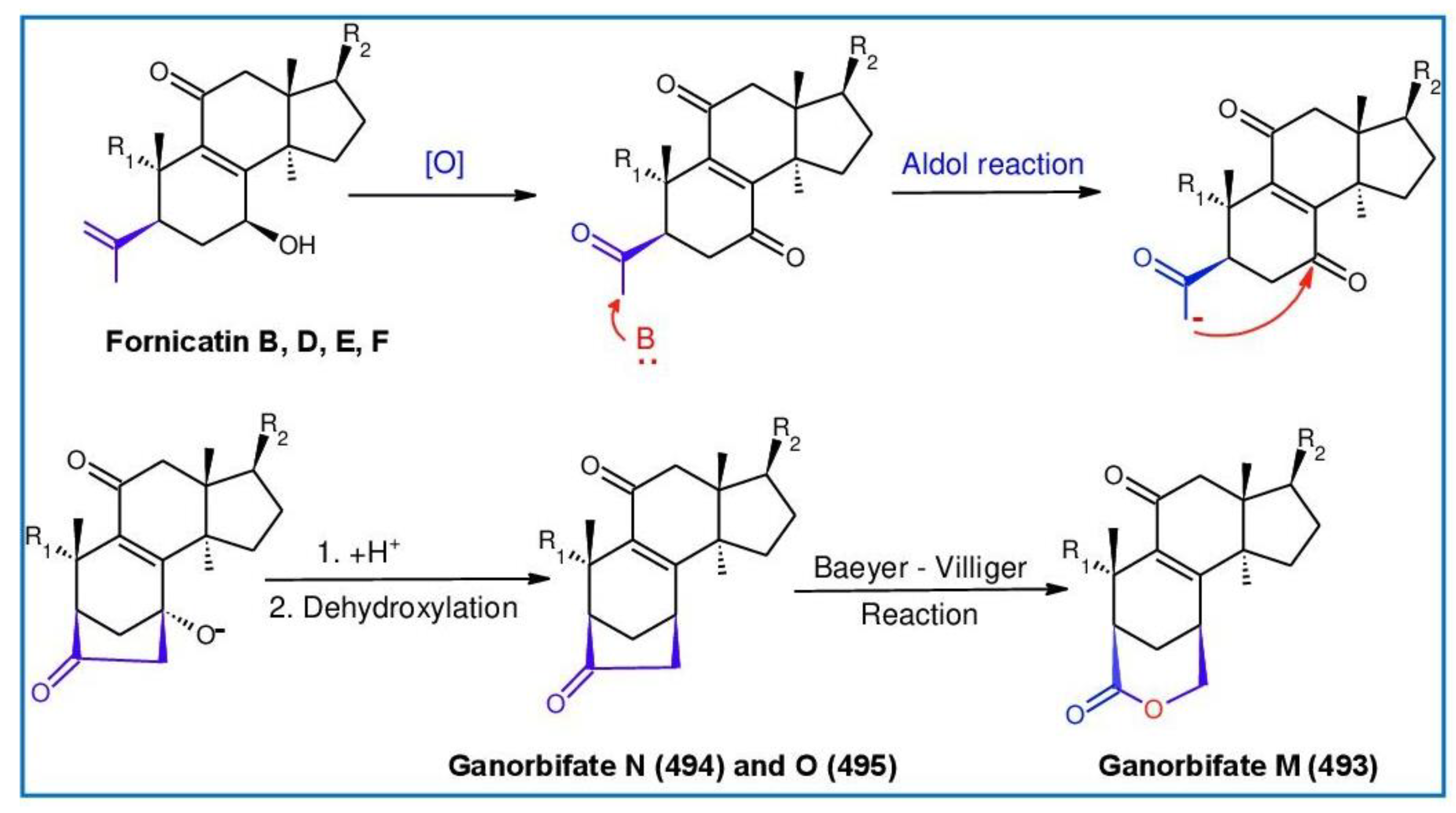 Biomolecules 13 00024 g034 Biomolecules 13 00024 g034