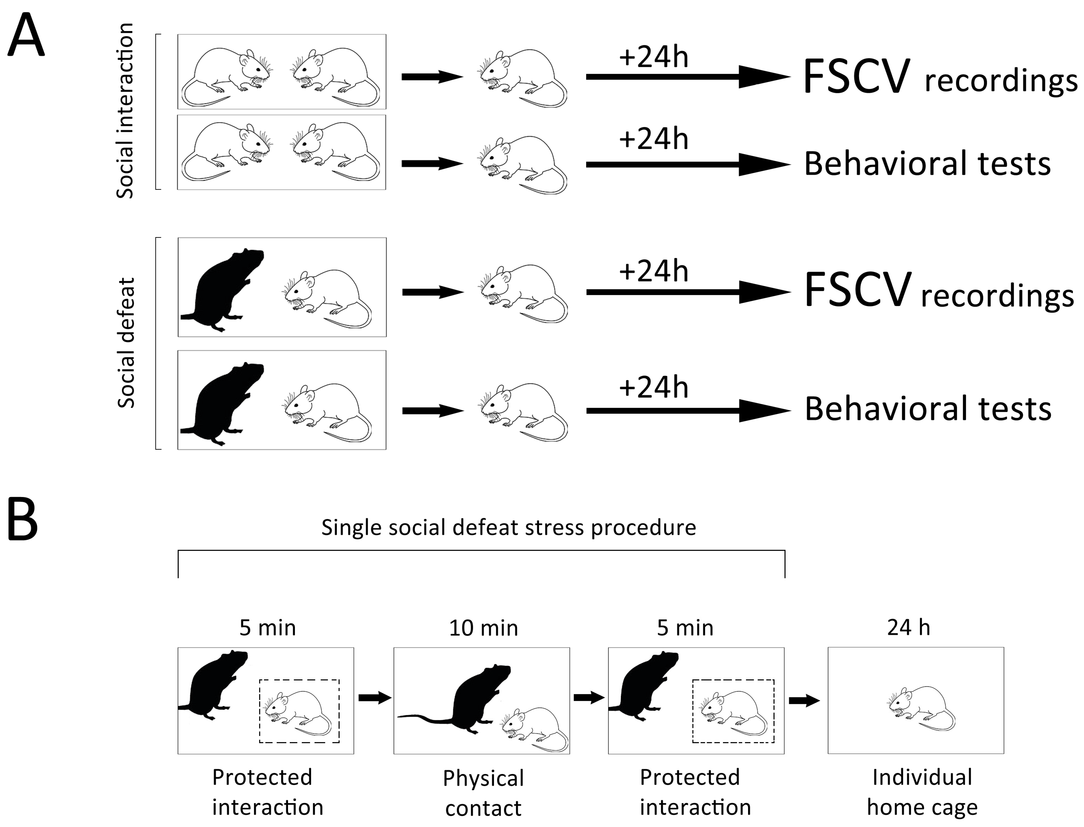 Biomolecules 13 00035 g001 Biomolecules 13 00035 g001