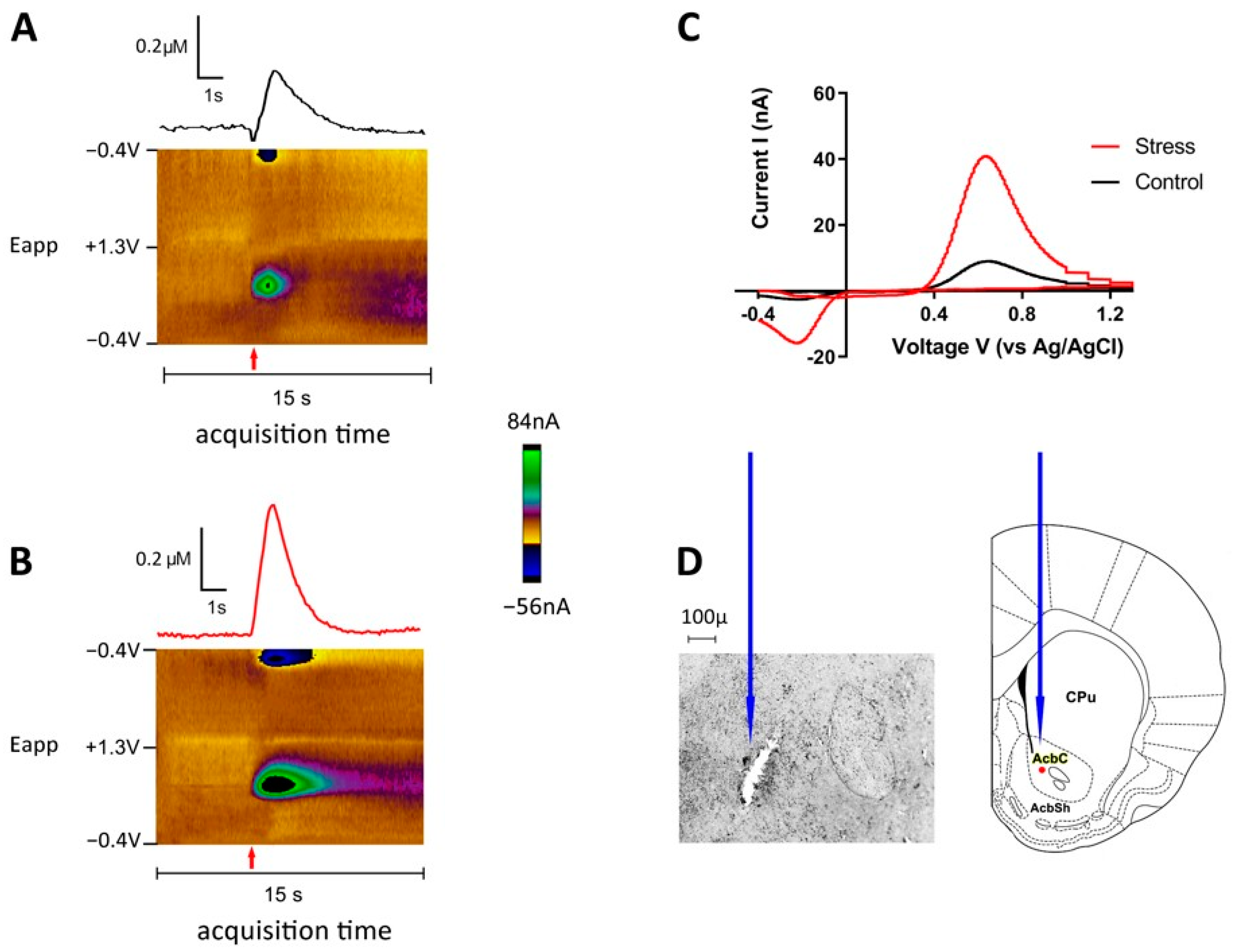Biomolecules 13 00035 g004 Biomolecules 13 00035 g004