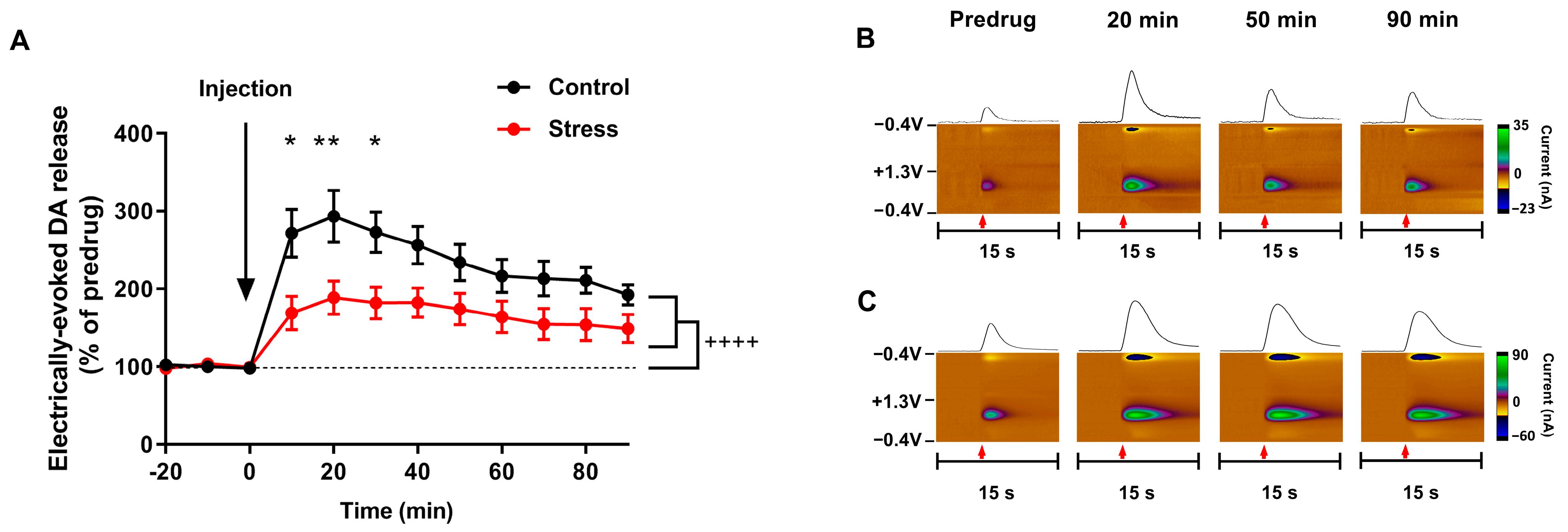 Biomolecules 13 00035 g006 Biomolecules 13 00035 g006