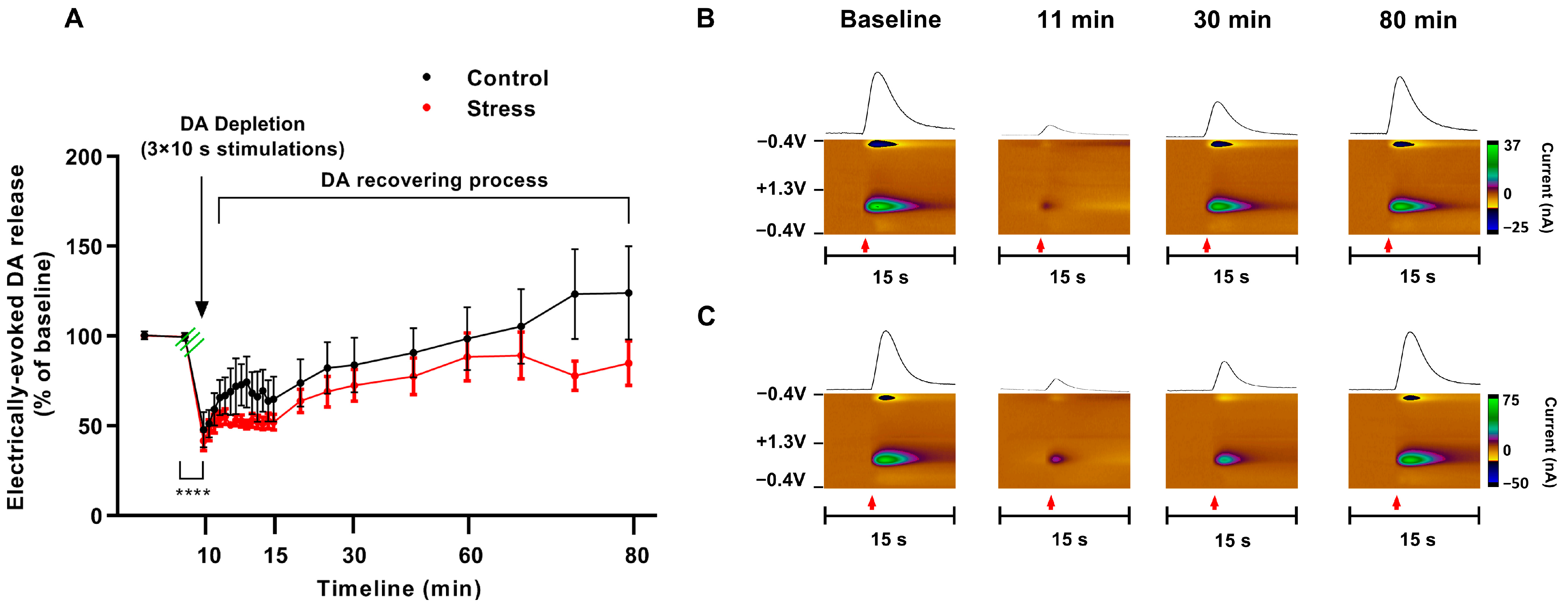 Biomolecules 13 00035 g007 Biomolecules 13 00035 g007