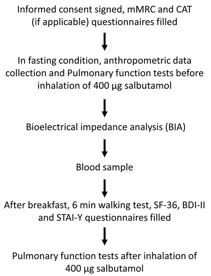 Types of Body Composition - Primo Fitness