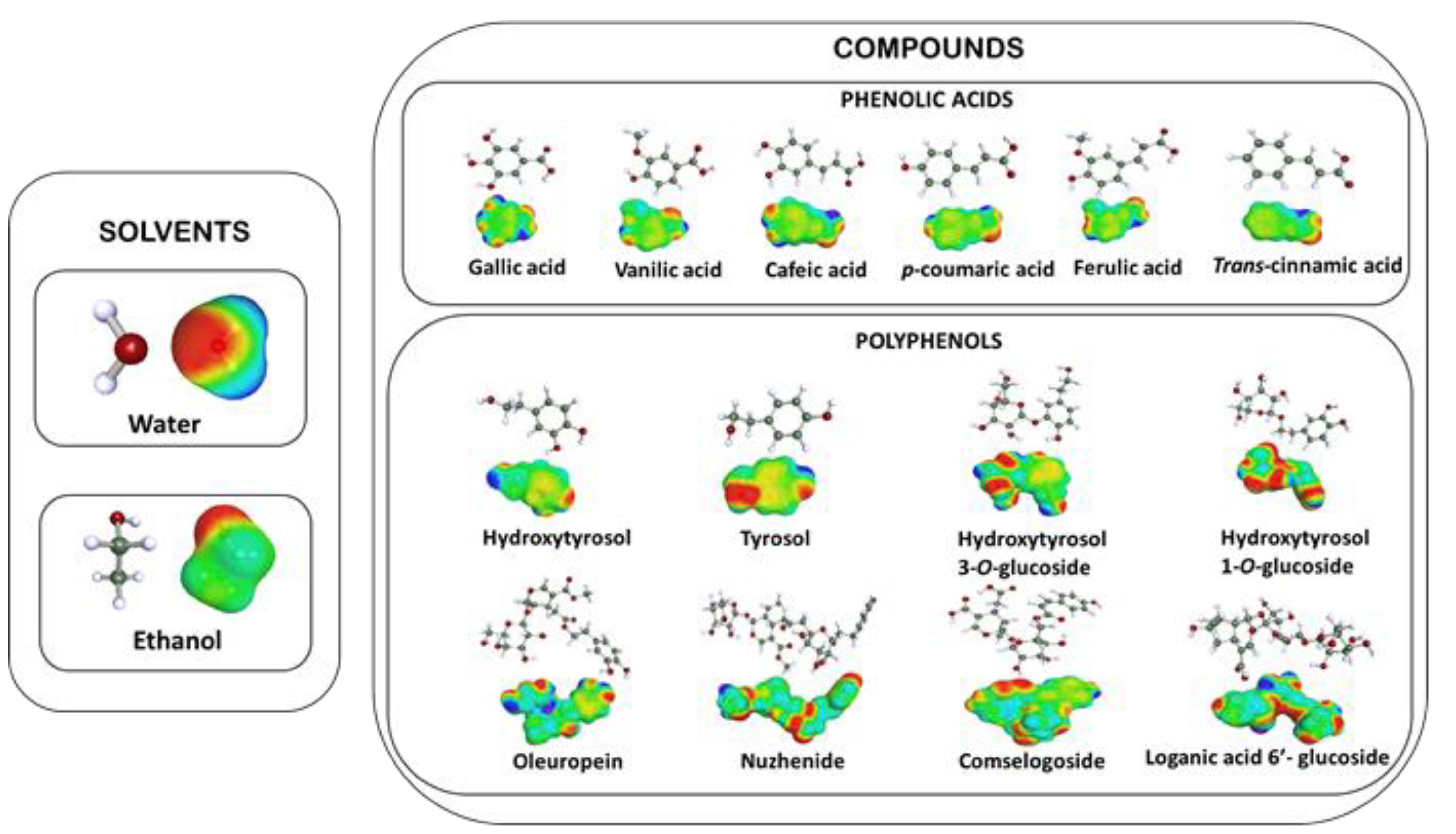 Biomolecules 13 00065 g002