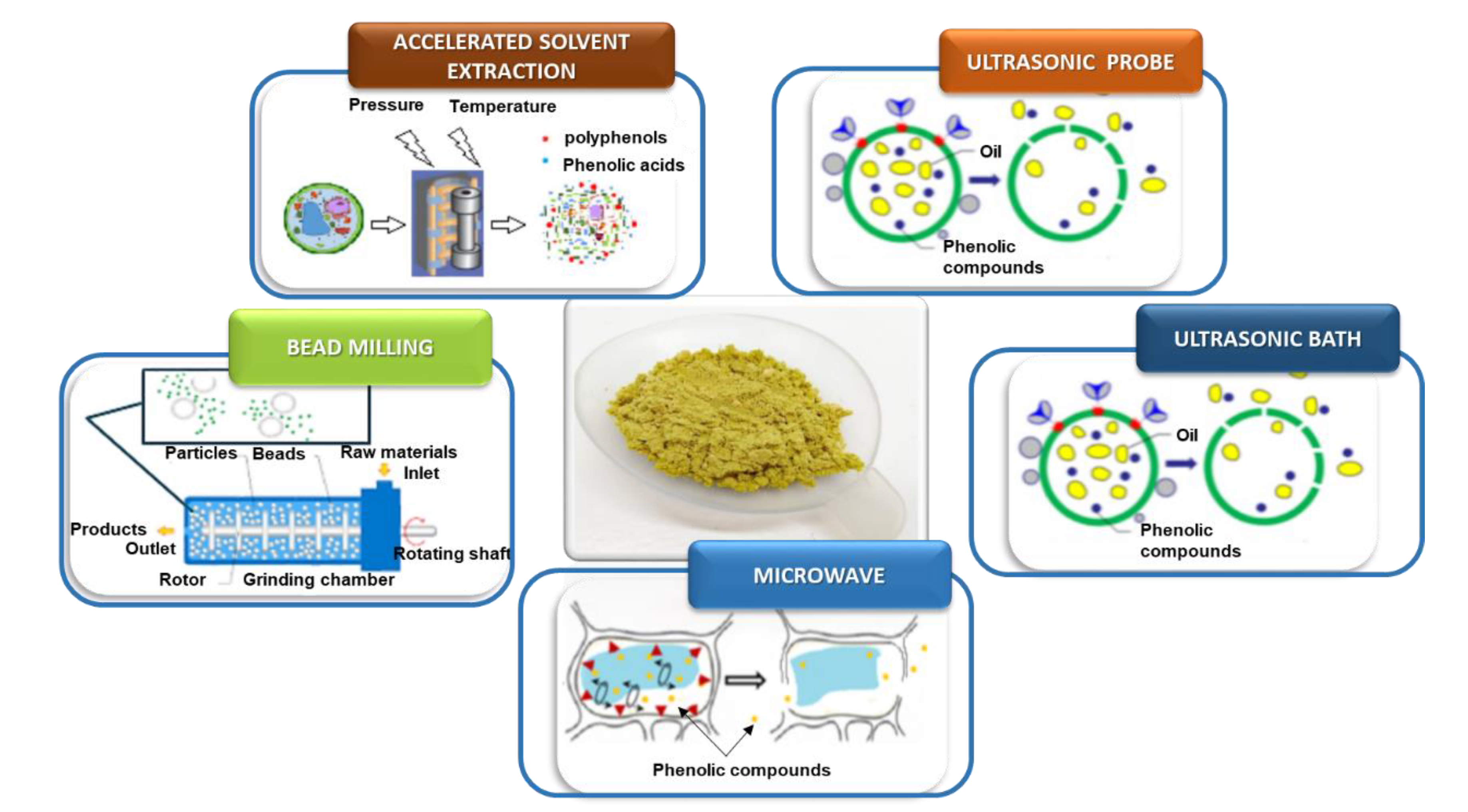Biomolecules 13 00065 g010
