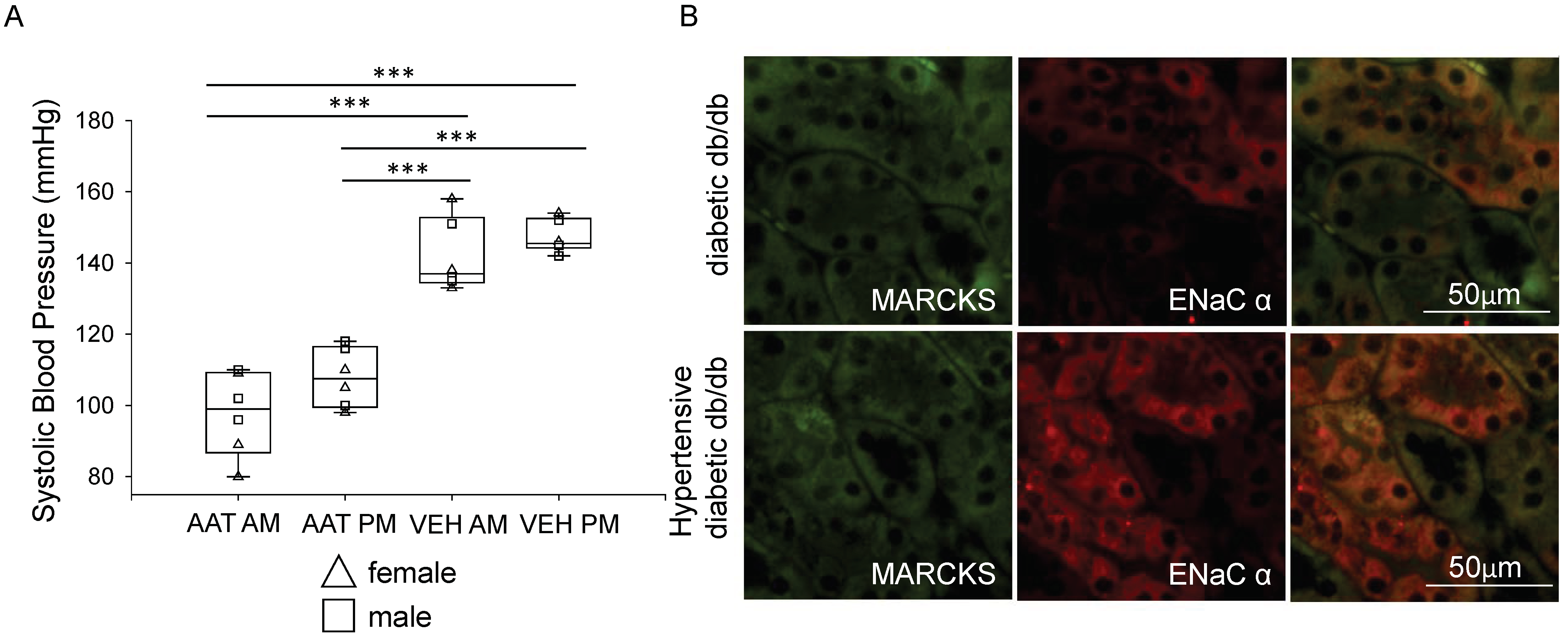Biomolecules 13 00066 g003 Biomolecules 13 00066 g003