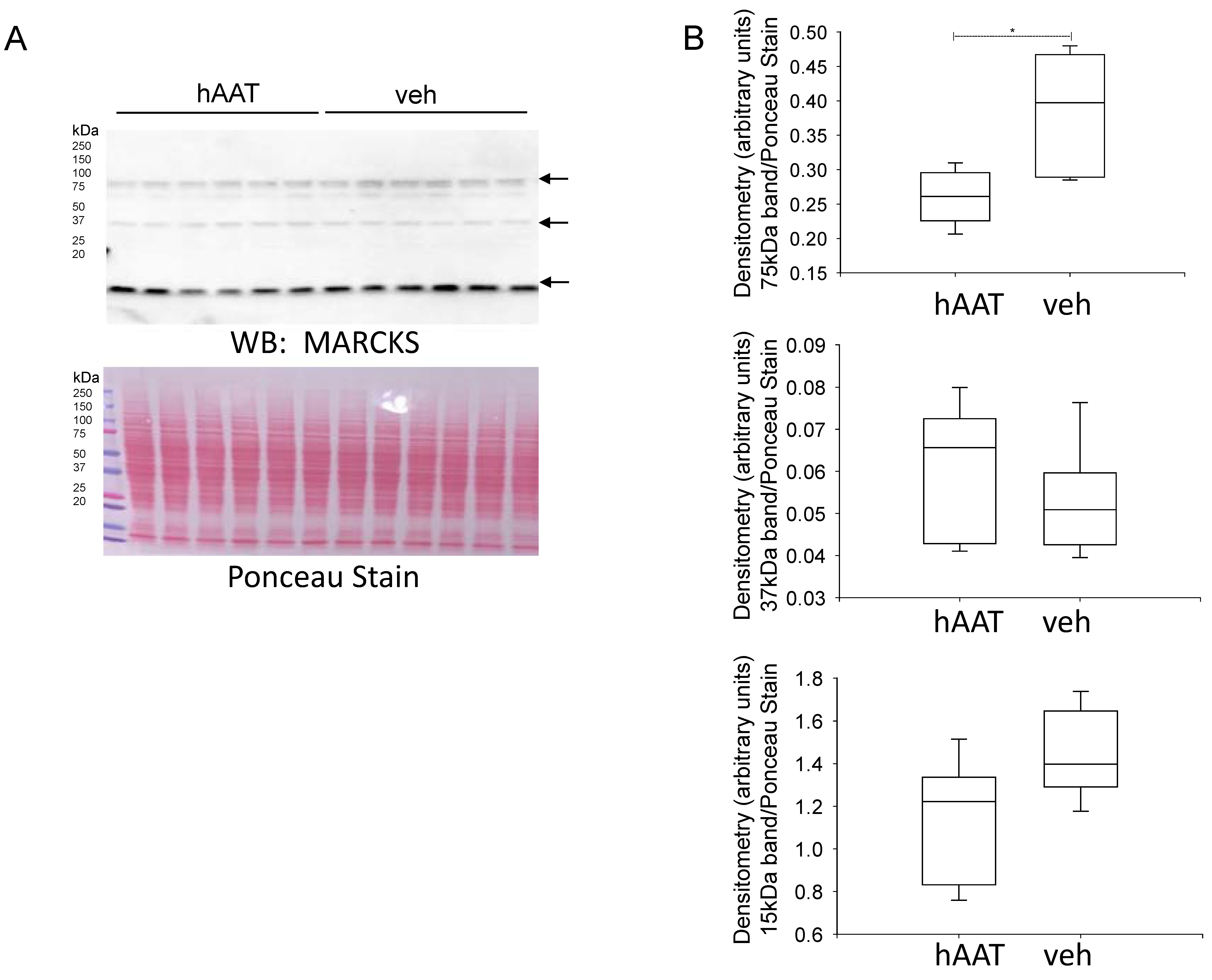 Biomolecules 13 00066 g005 Biomolecules 13 00066 g005