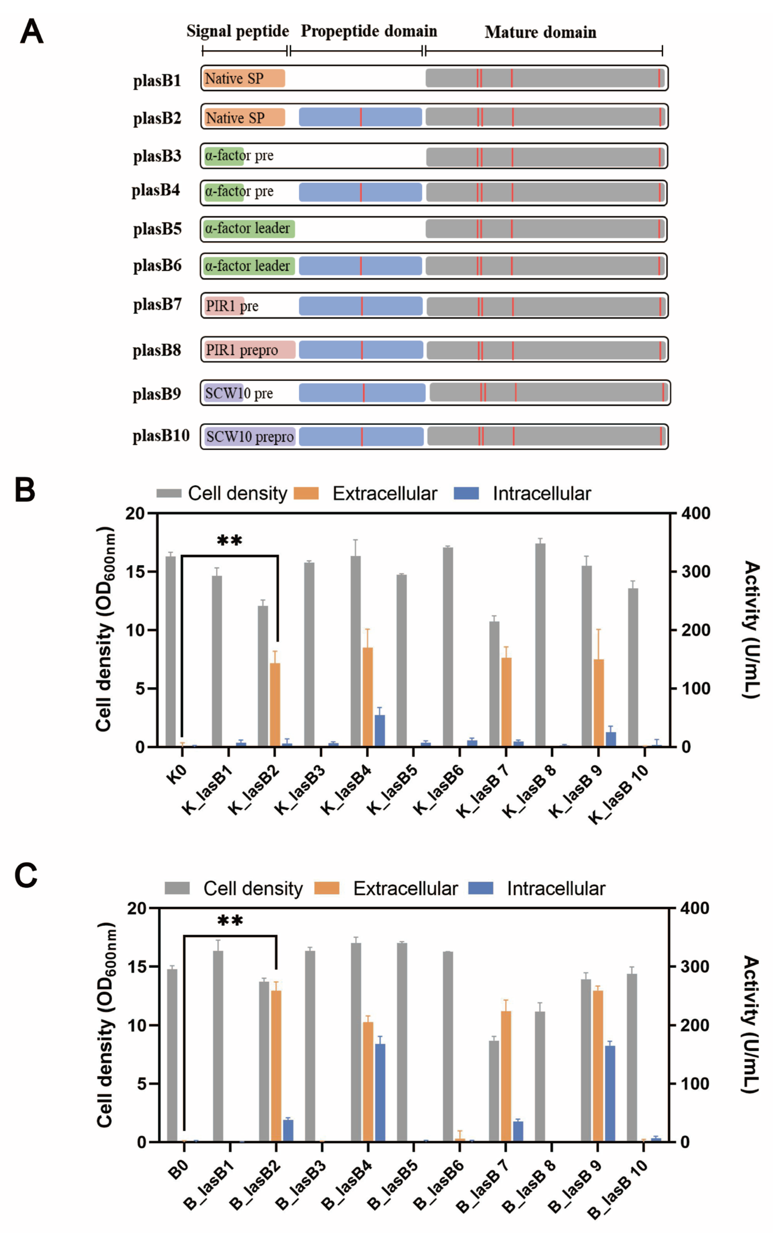 Biomolecules 13 00083 g002