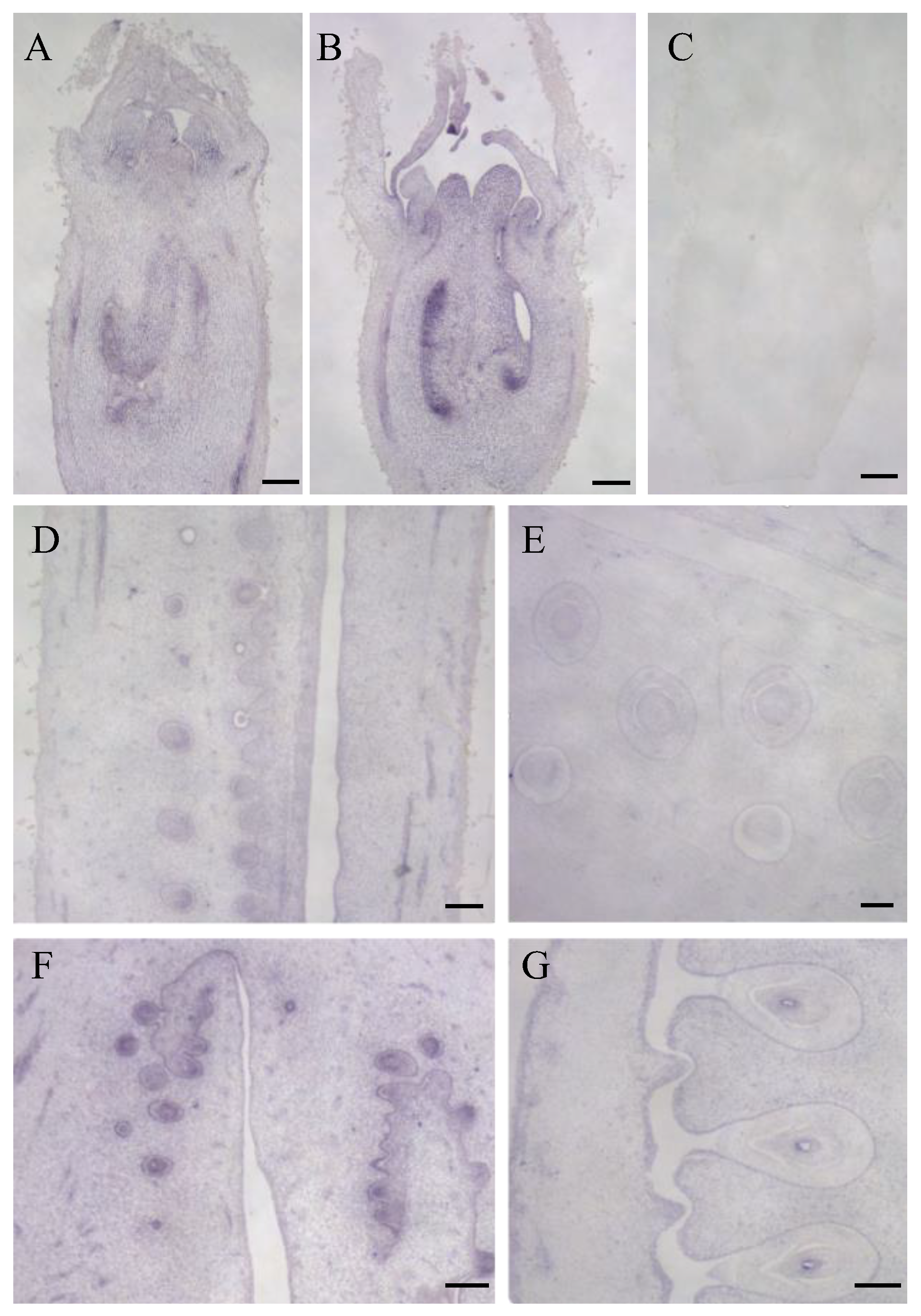 Biomolecules 13 00085 g005