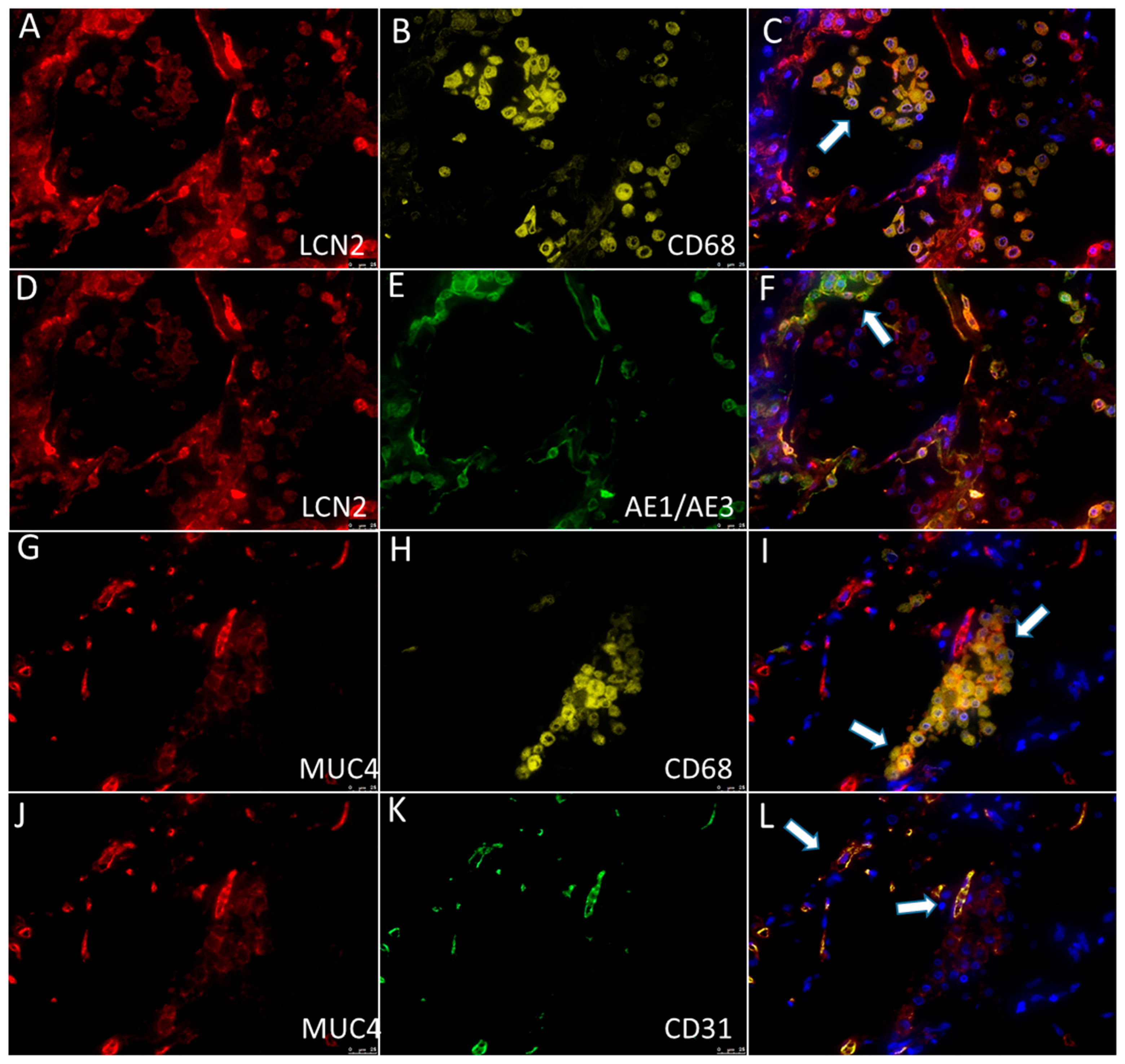 Biomolecules 13 00097 g005