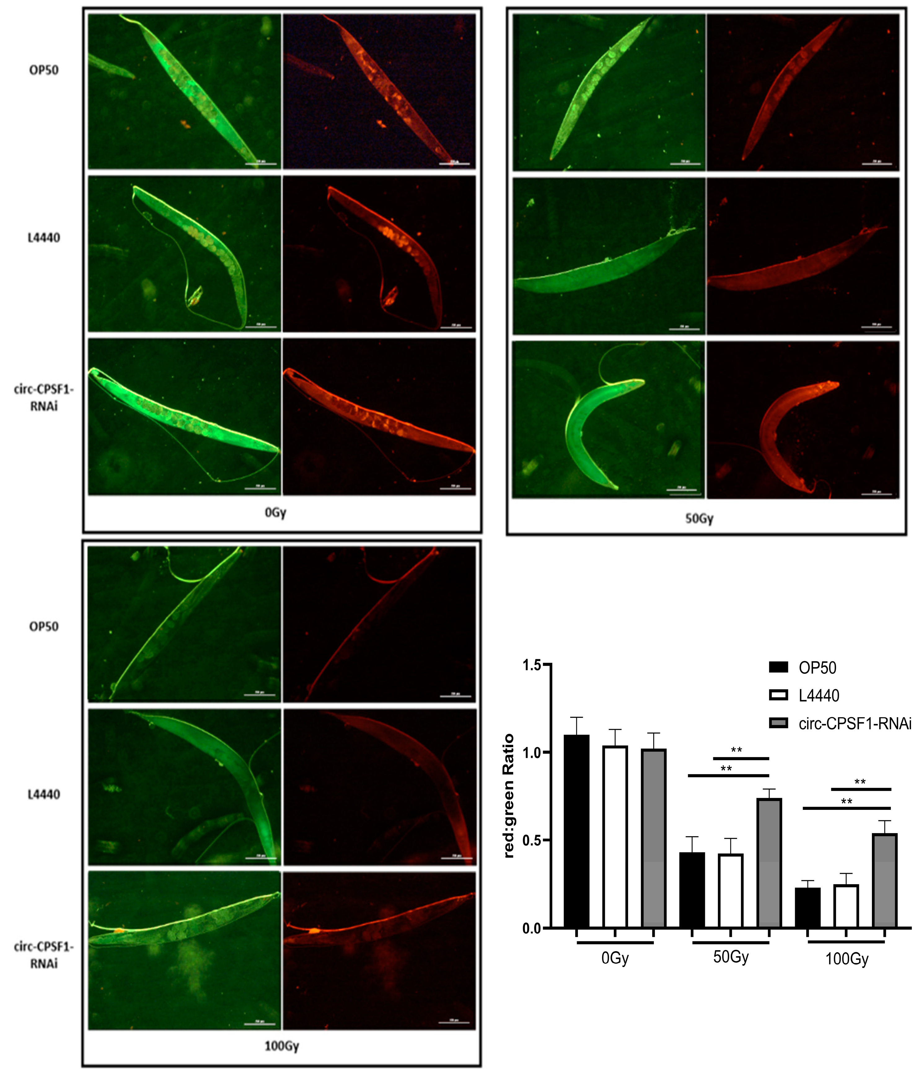 Biomolecules 13 00102 g005 Biomolecules 13 00102 g005
