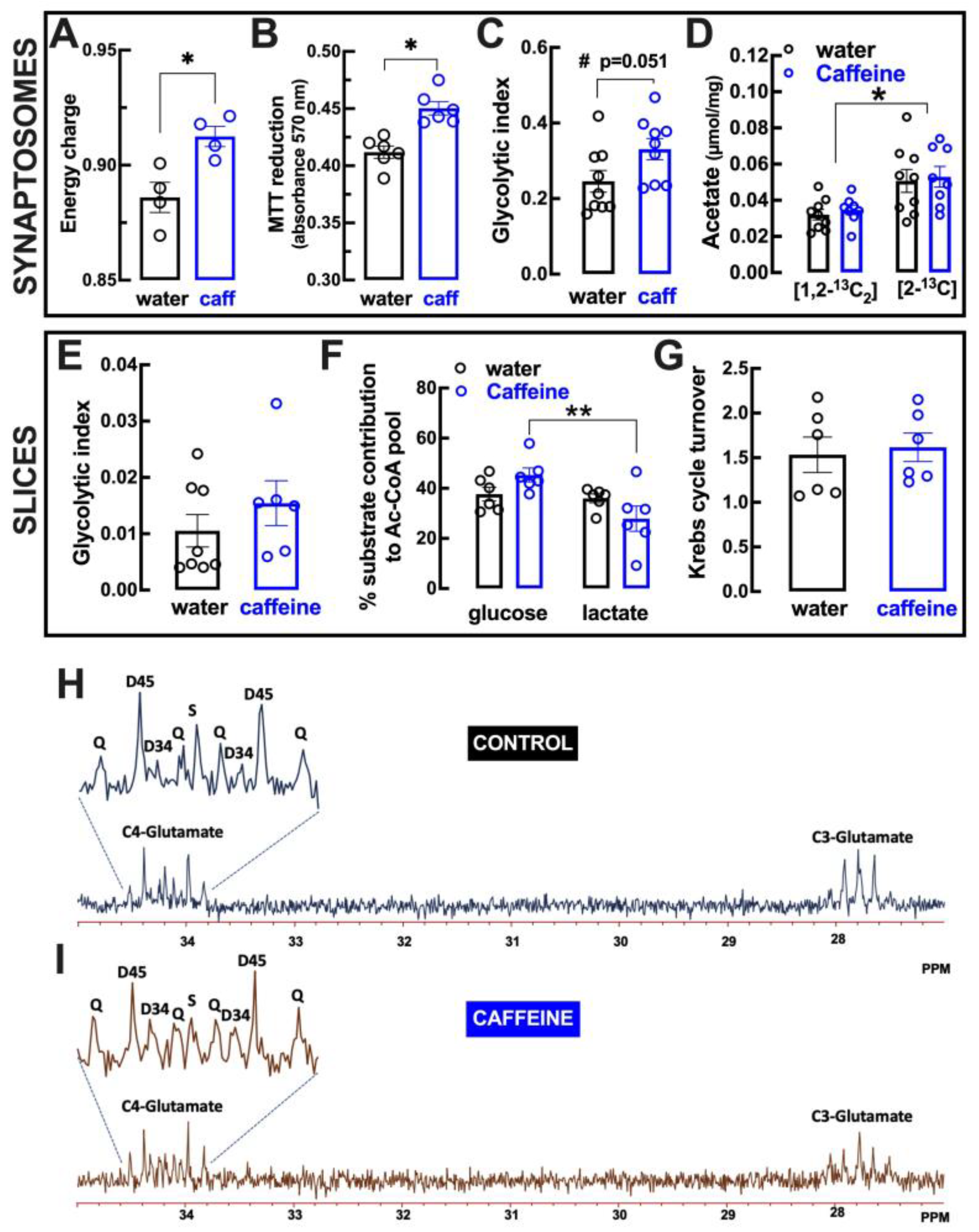 Biomolecules 13 00106 g006