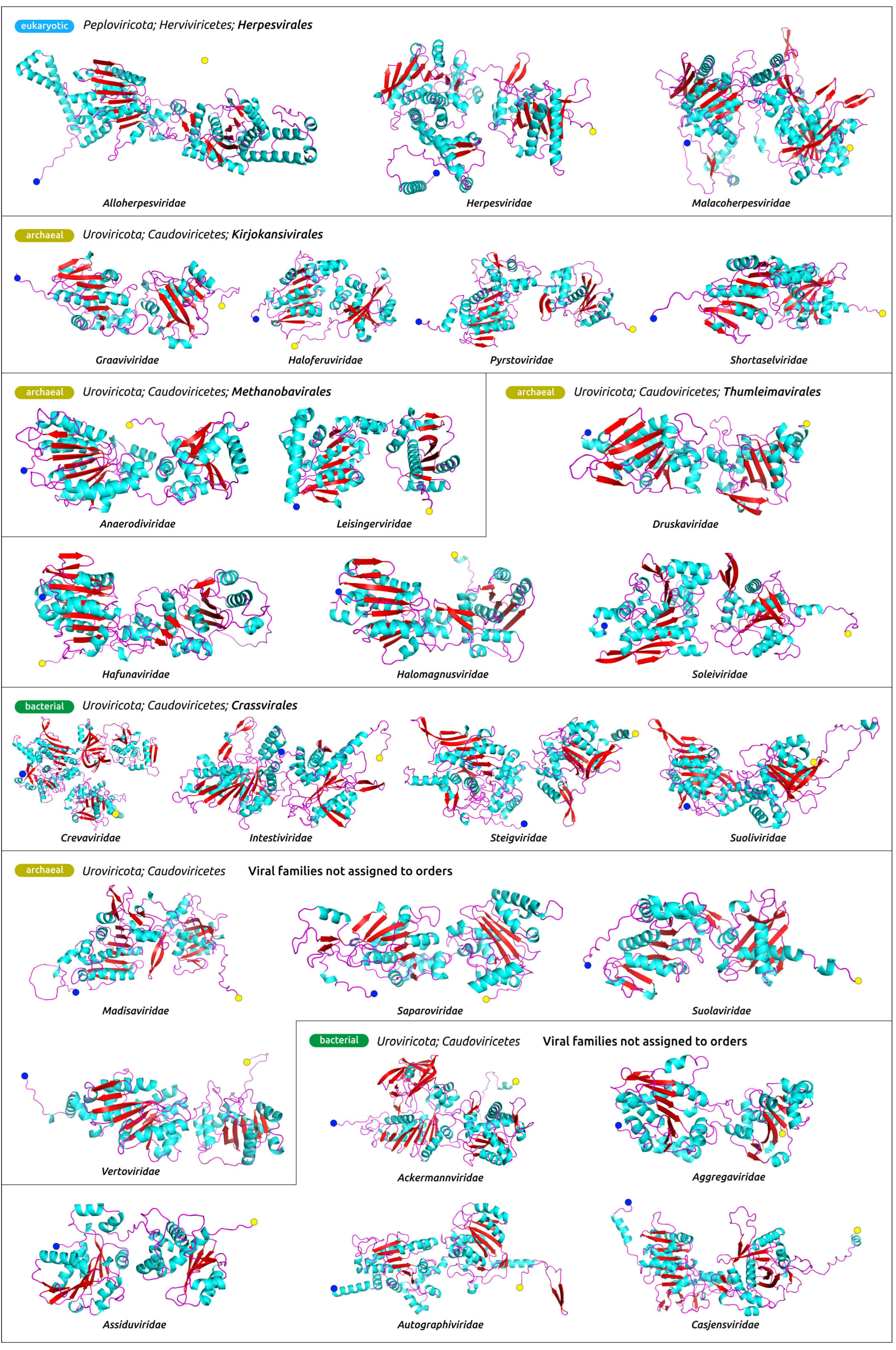 Biomolecules 13 00110 g004 Biomolecules 13 00110 g004