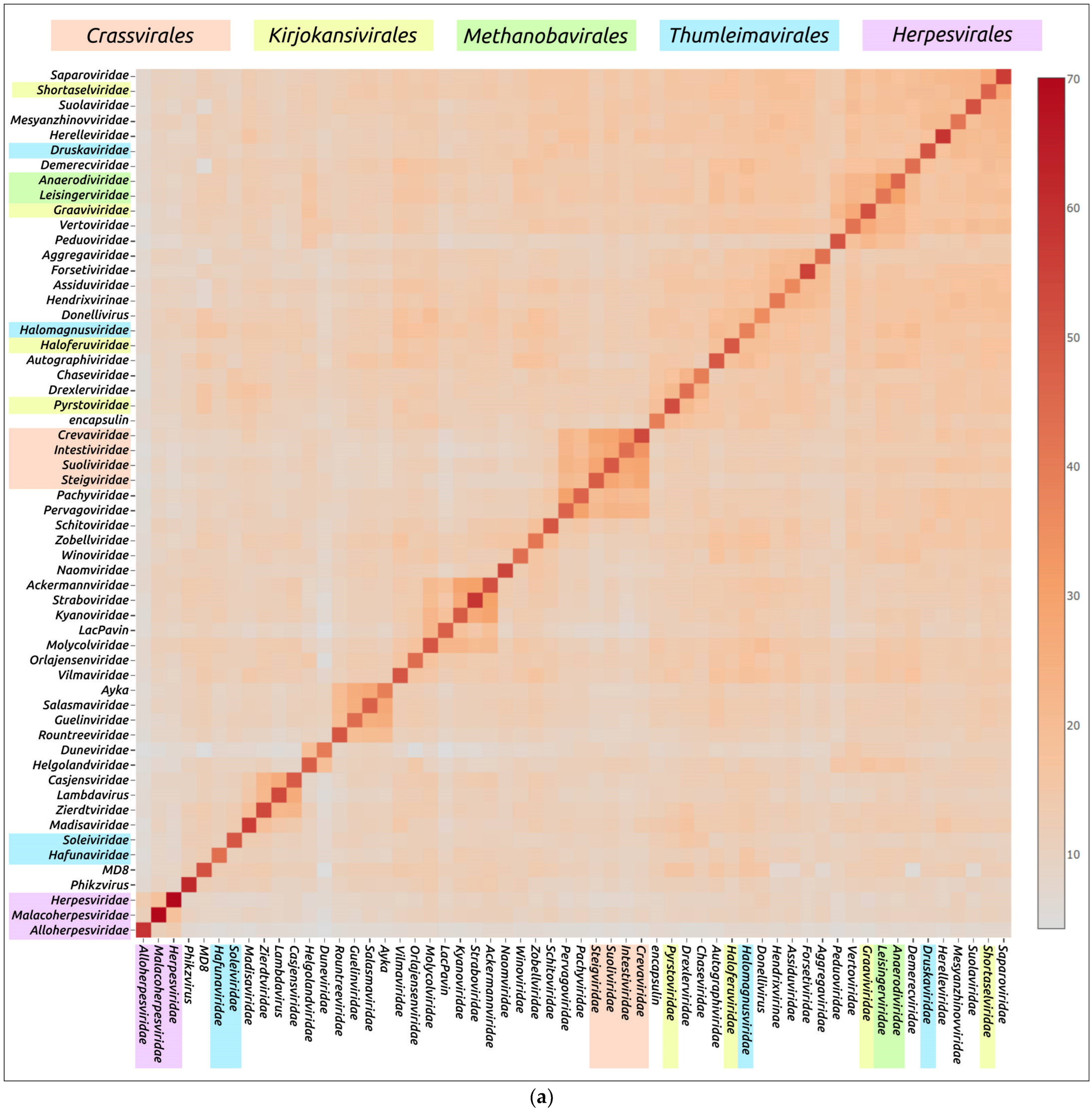 Biomolecules 13 00110 g007a Biomolecules 13 00110 g007a