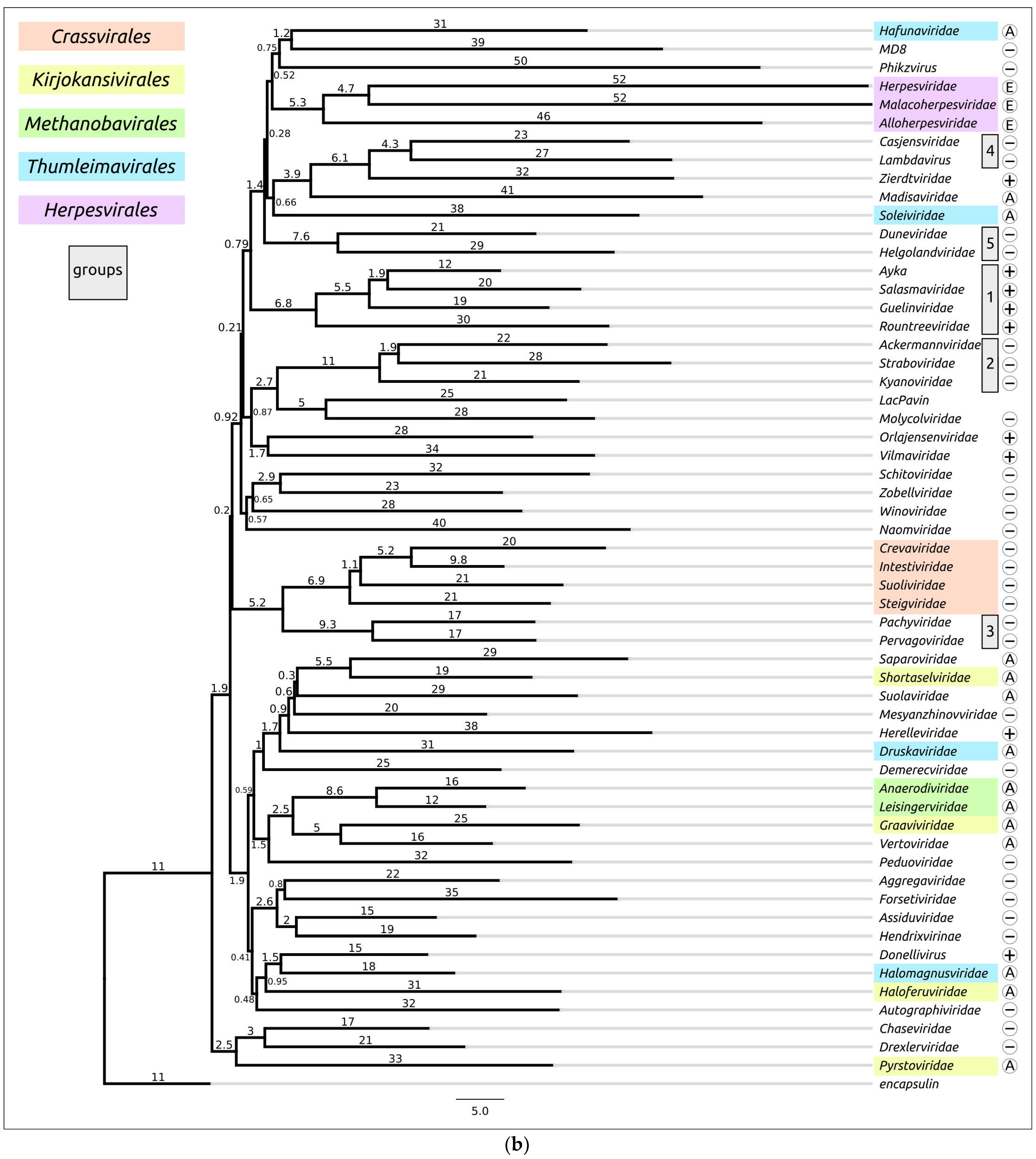 Biomolecules 13 00110 g007b Biomolecules 13 00110 g007b