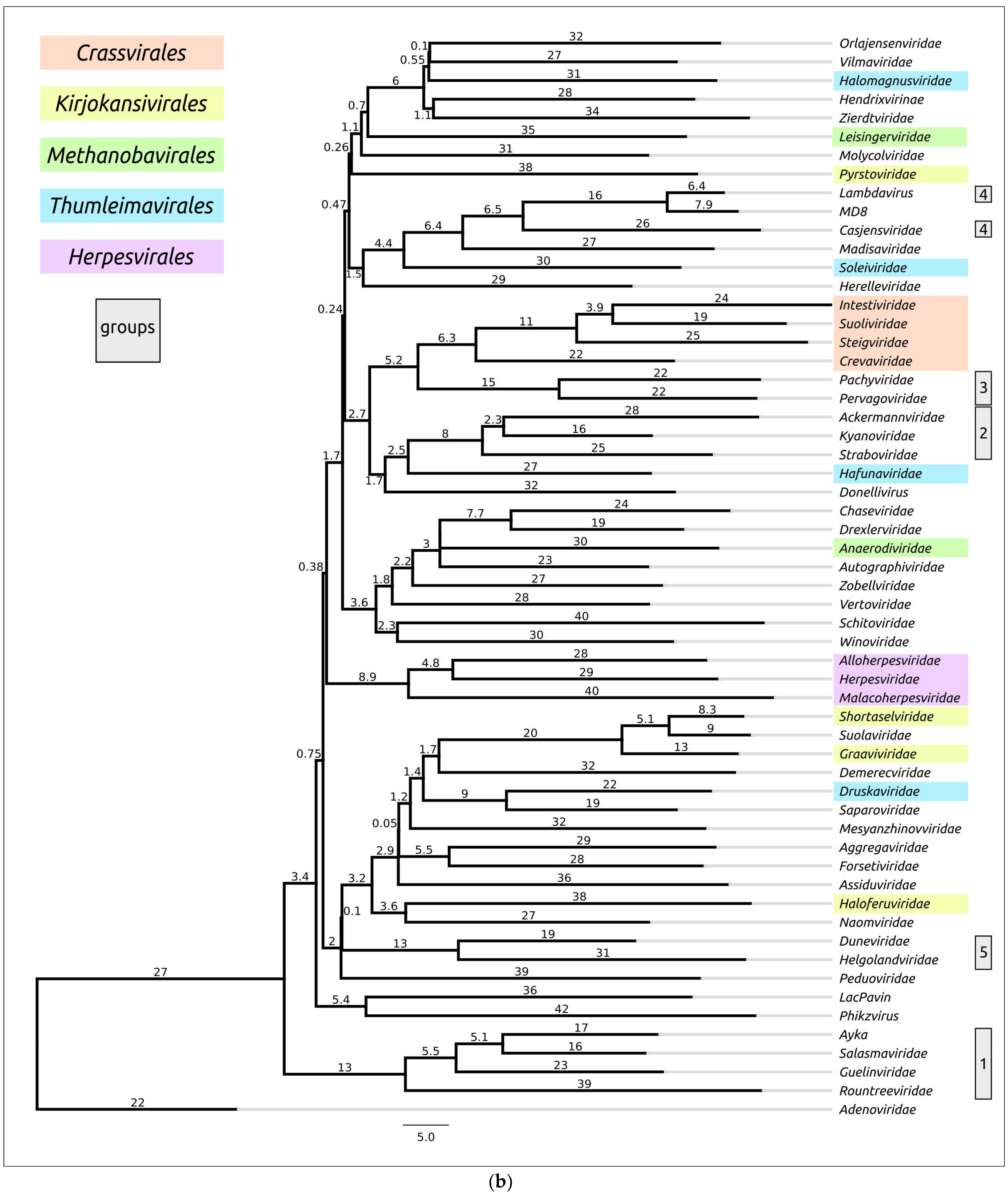 Biomolecules 13 00110 g008b Biomolecules 13 00110 g008b