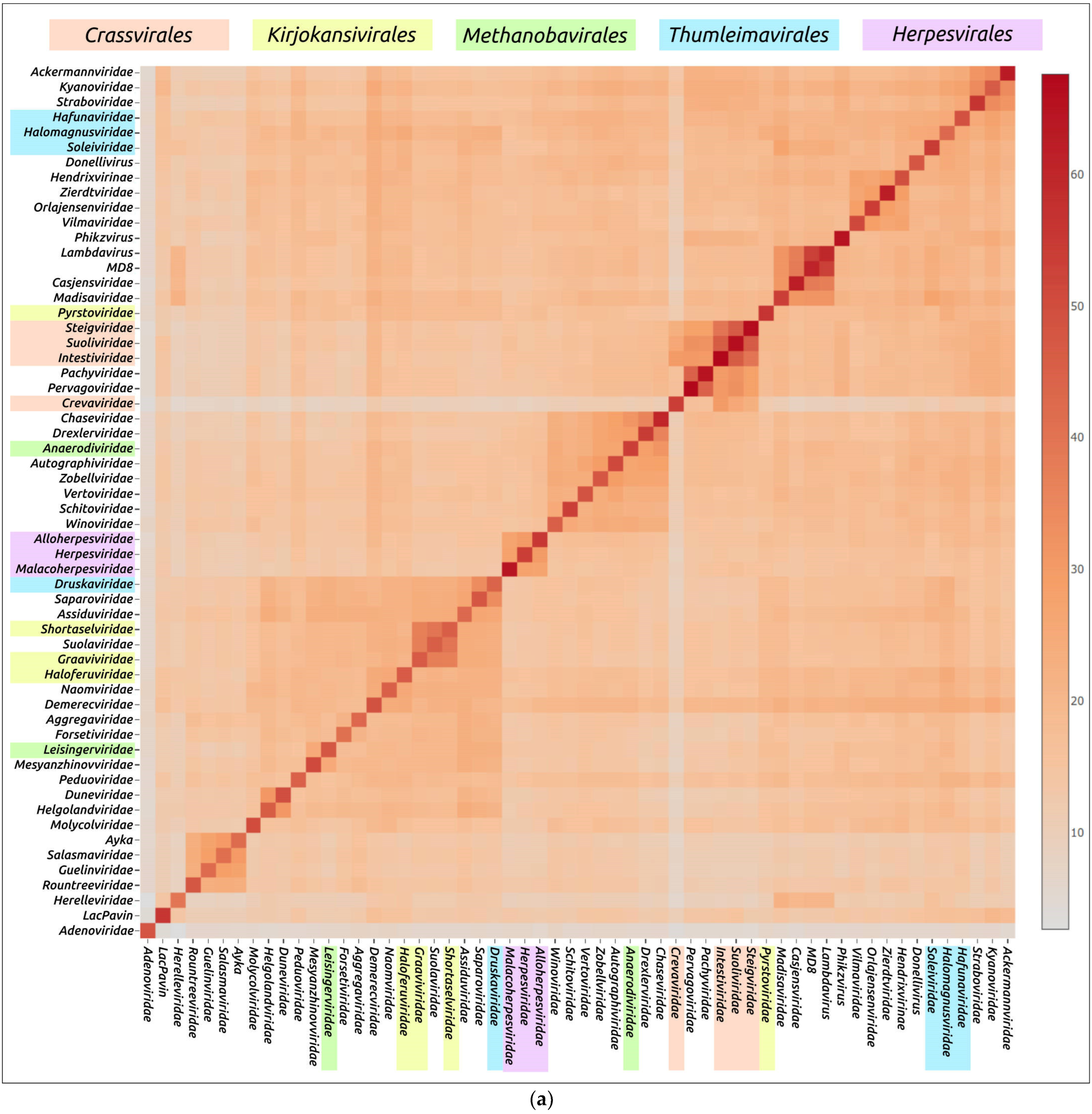 Biomolecules 13 00110 g009a Biomolecules 13 00110 g009a