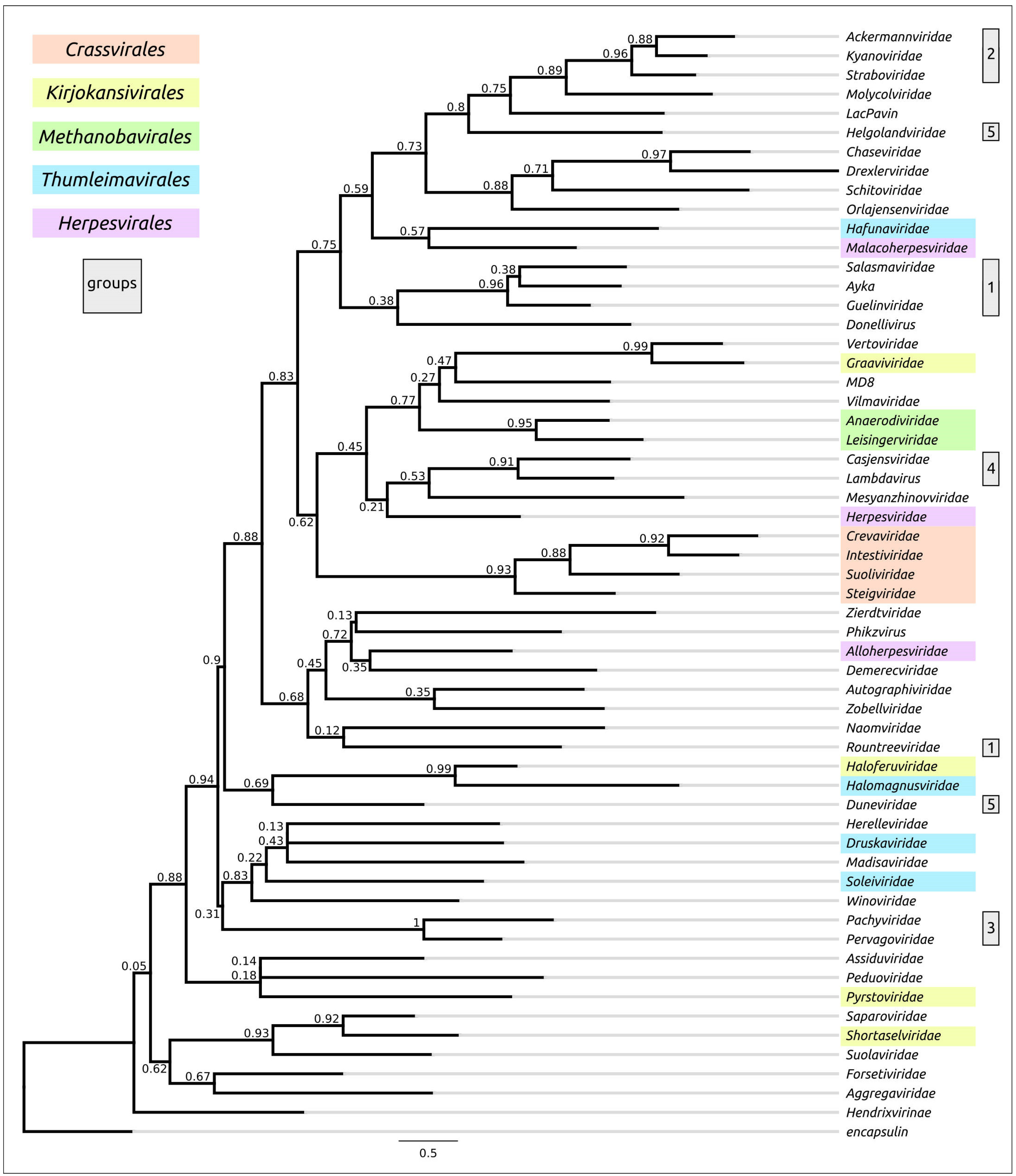 Biomolecules 13 00110 g010 Biomolecules 13 00110 g010
