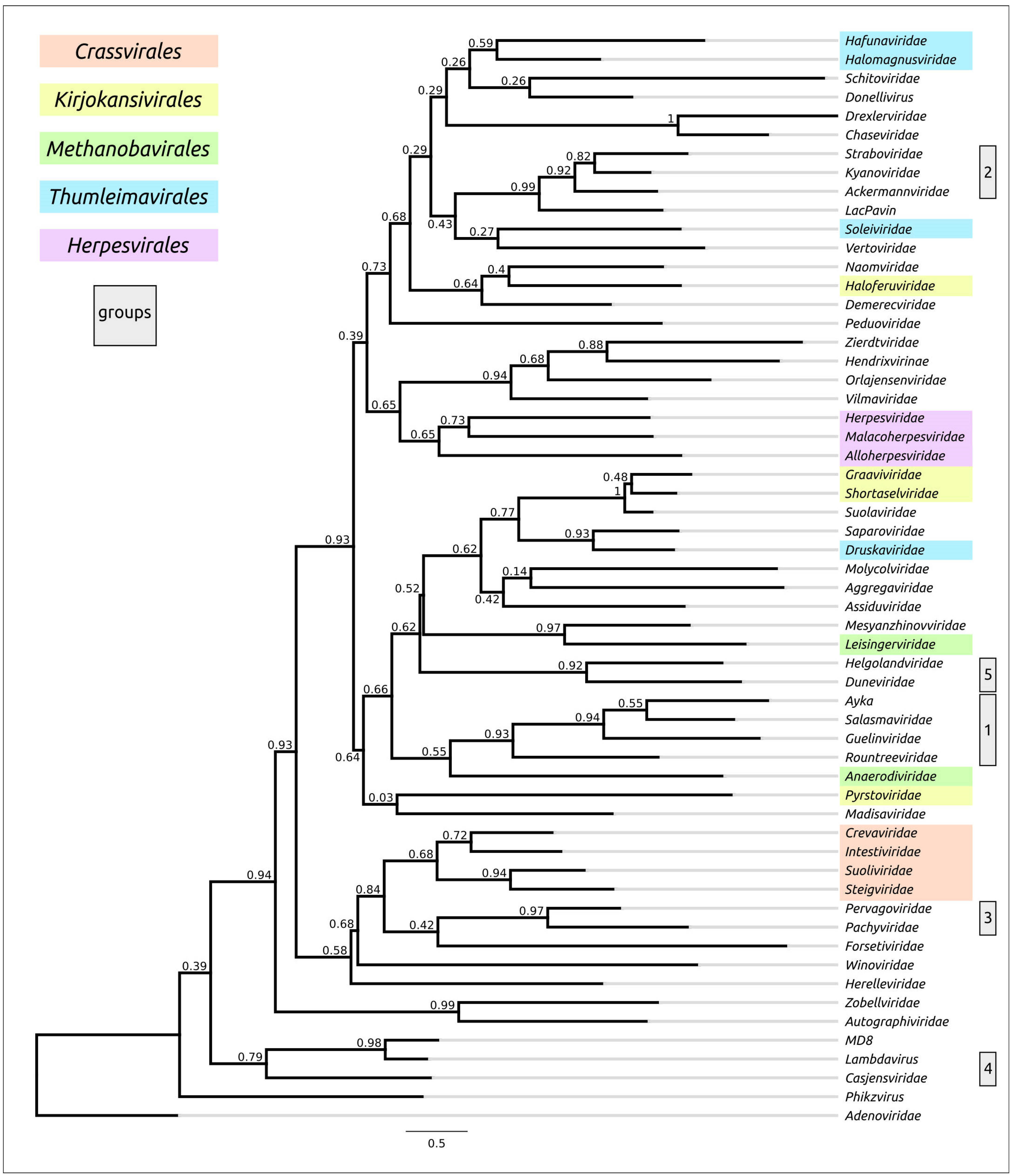 Biomolecules 13 00110 g011 Biomolecules 13 00110 g011