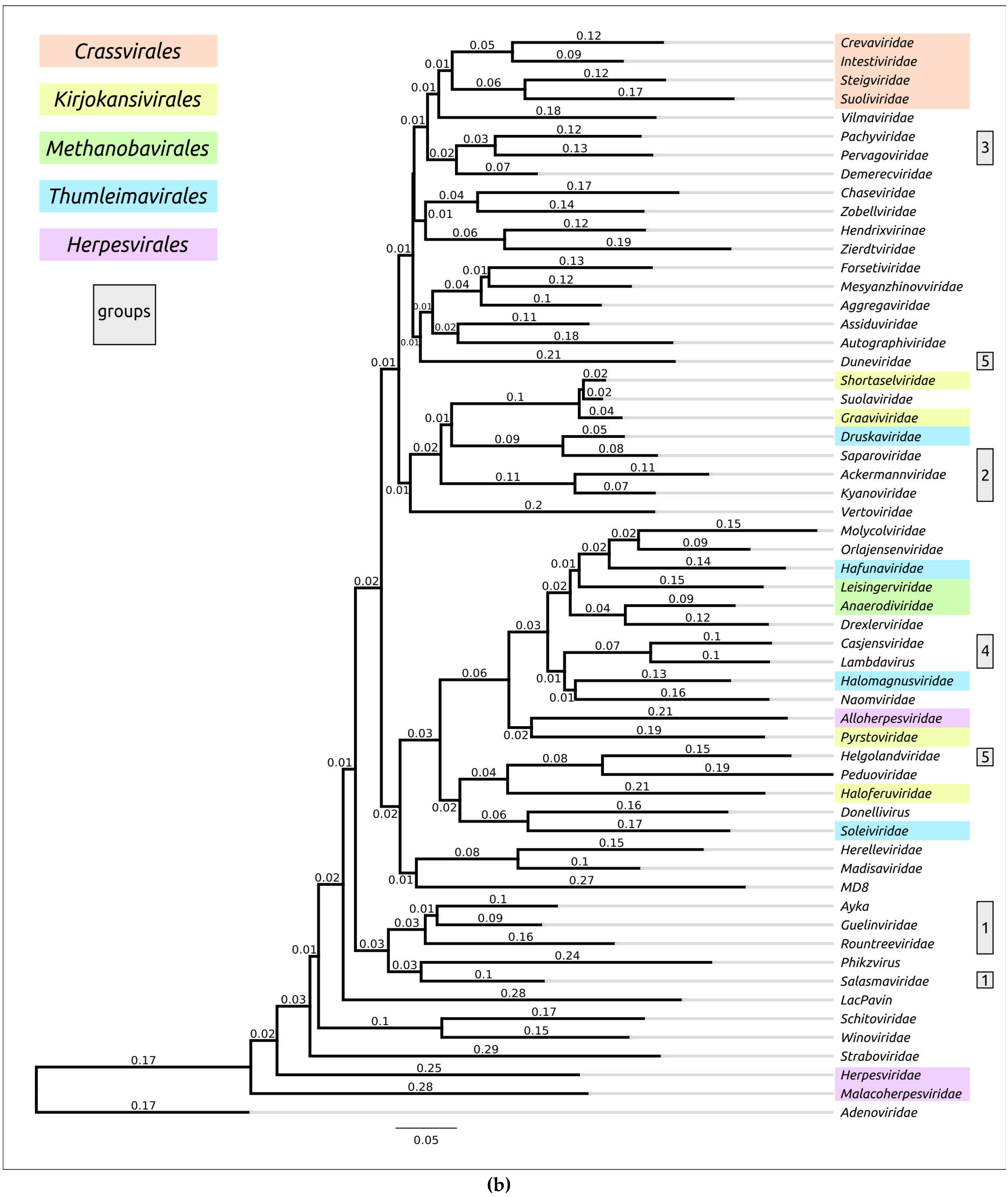 Biomolecules 13 00110 g0a1b Biomolecules 13 00110 g0a1b