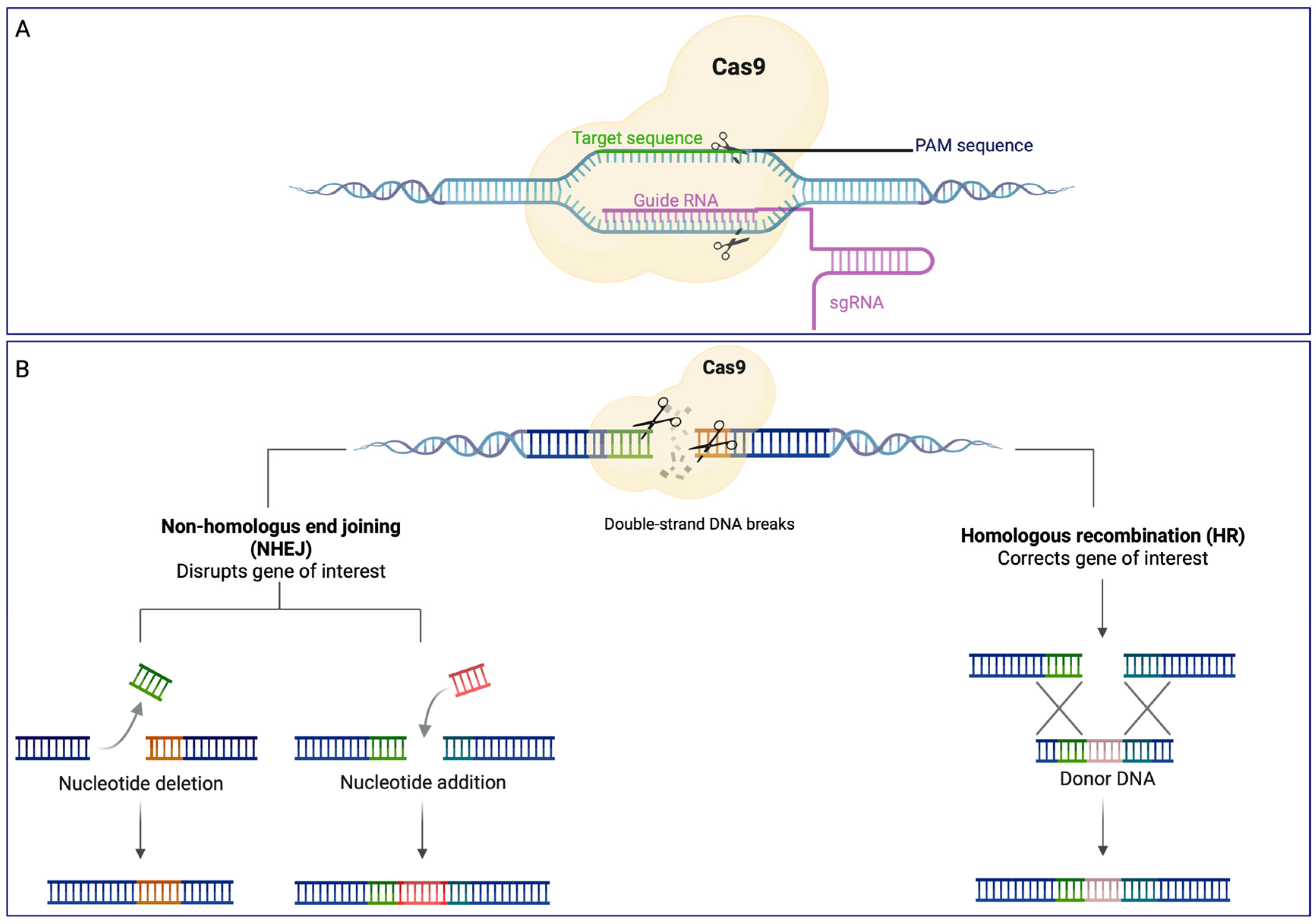 Biomolecules 13 00114 g002 Biomolecules 13 00114 g002