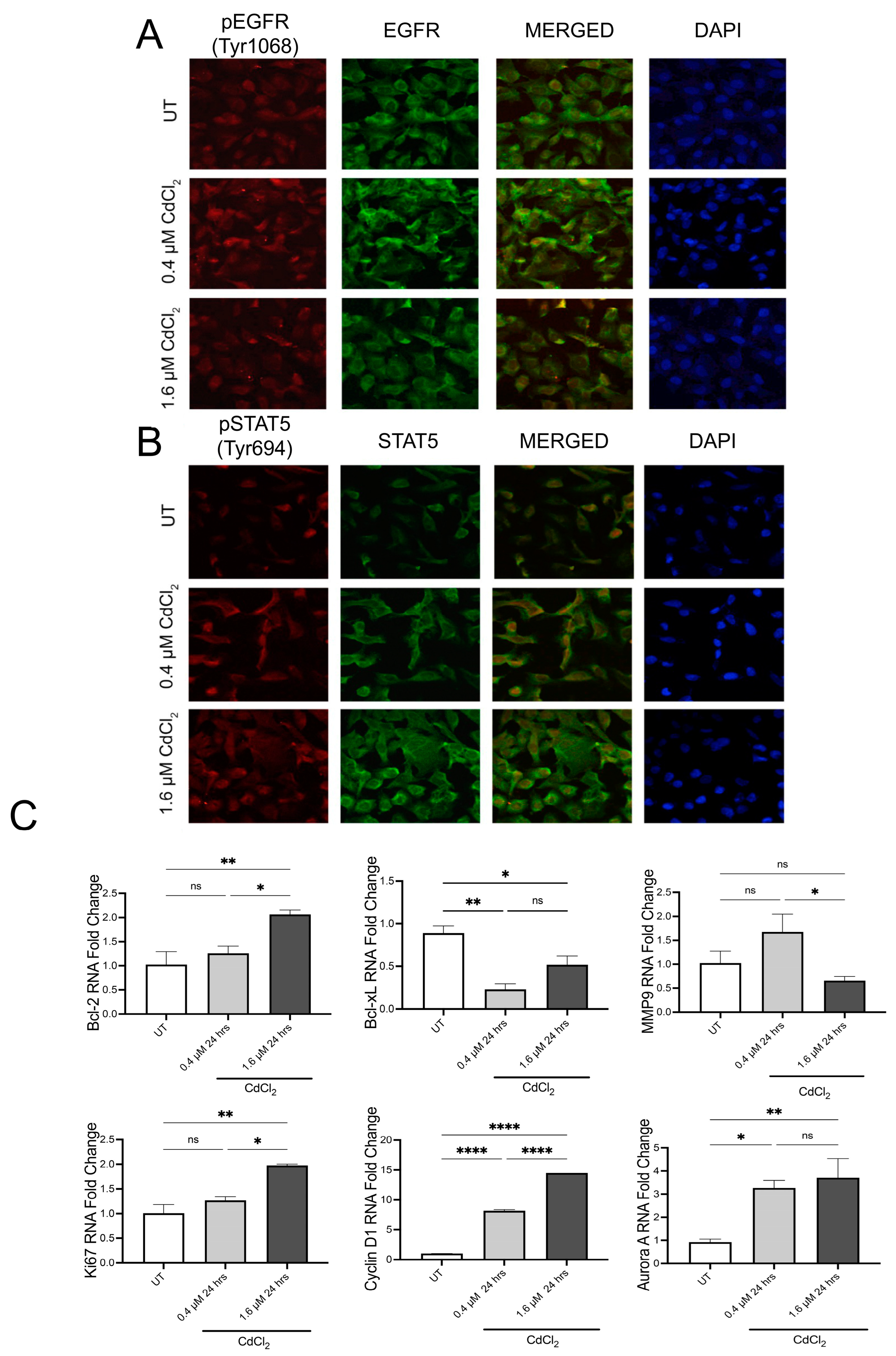 Biomolecules 13 00116 g002