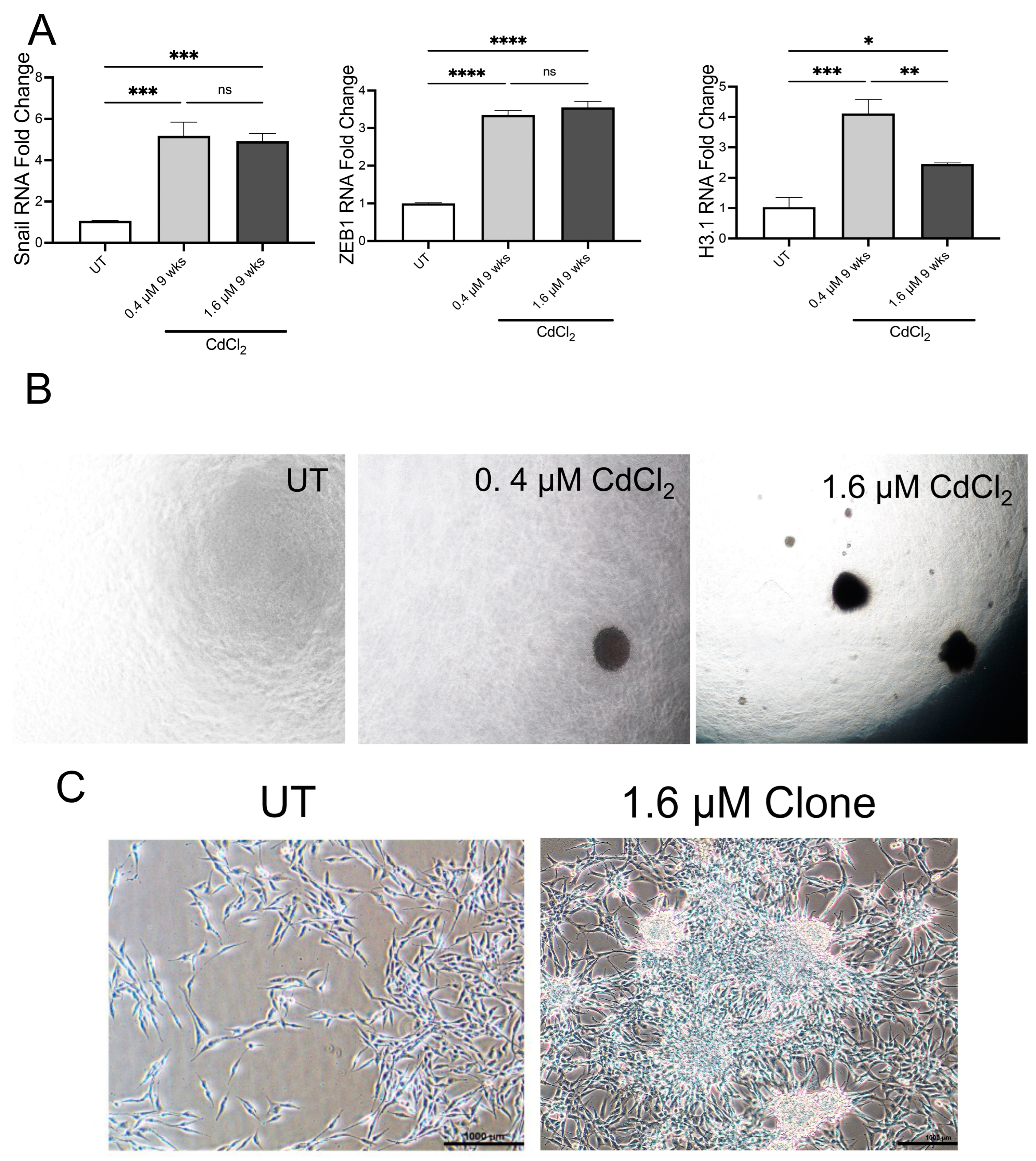 Biomolecules 13 00116 g007