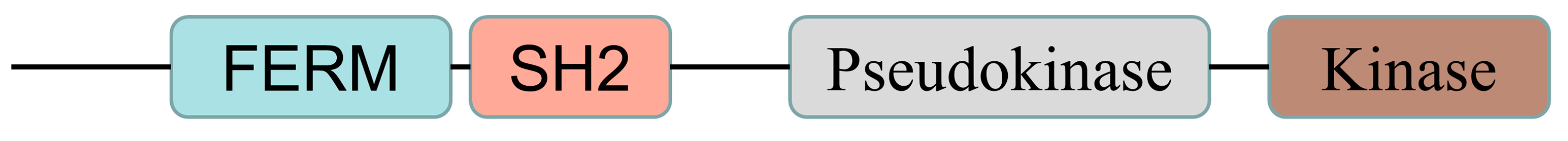 Biomolecules 13 00119 g001 Biomolecules 13 00119 g001