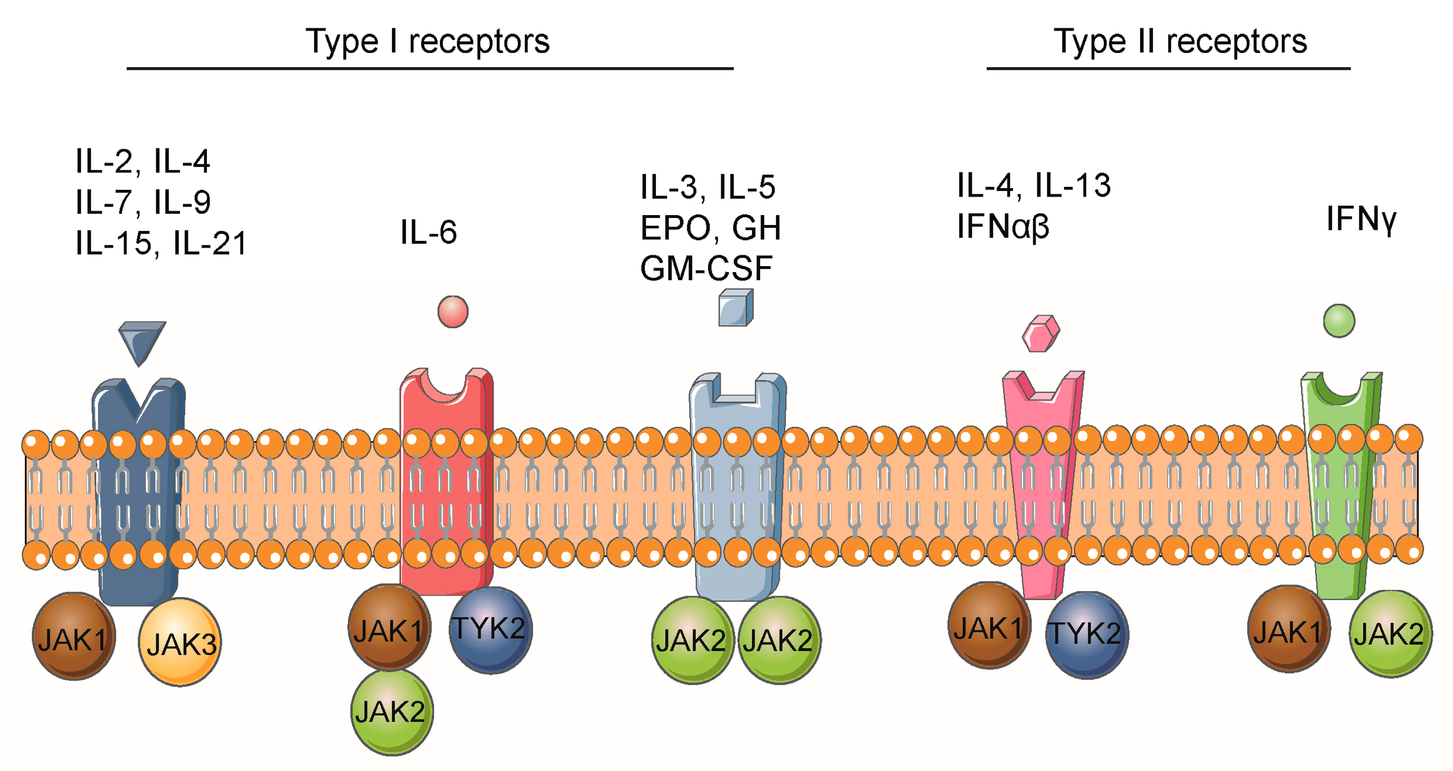 Biomolecules 13 00119 g003 Biomolecules 13 00119 g003
